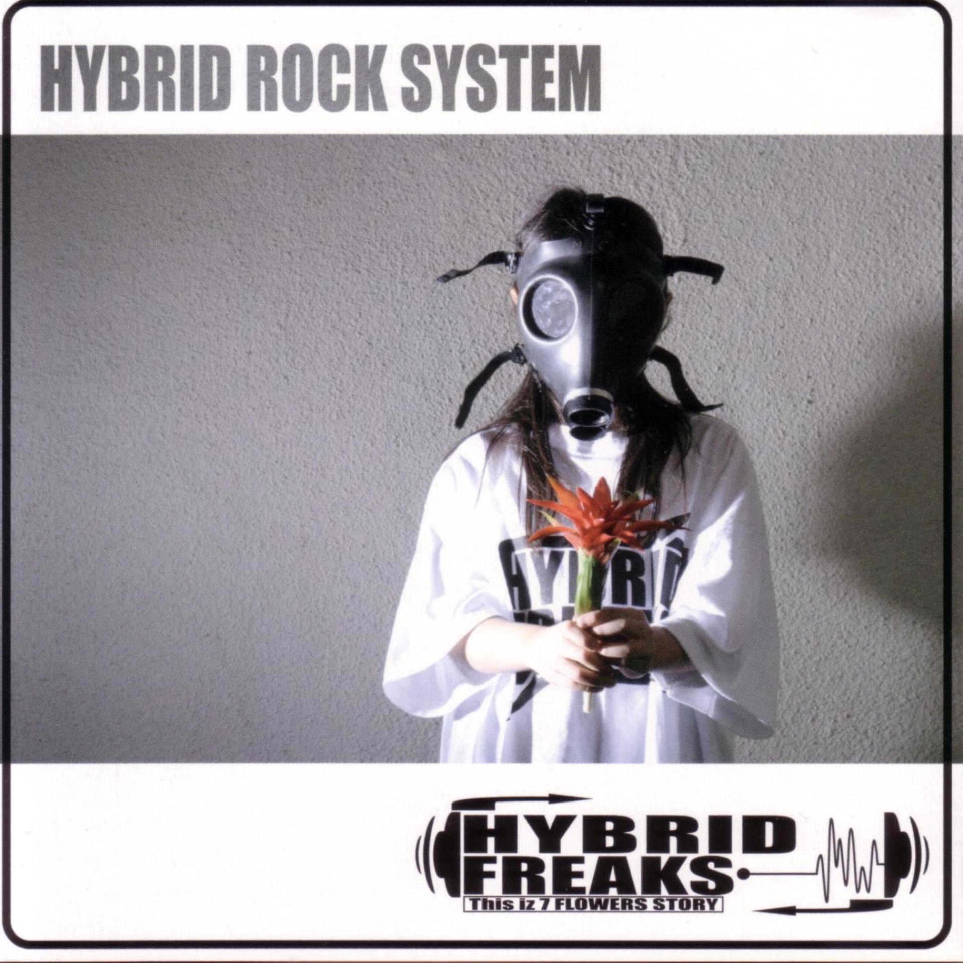 Постер альбома Hybrid Rock System