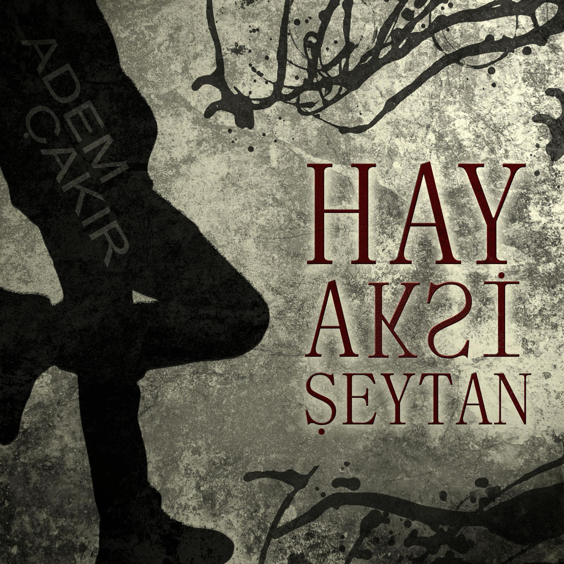 Постер альбома Hay Aksi Şeytan