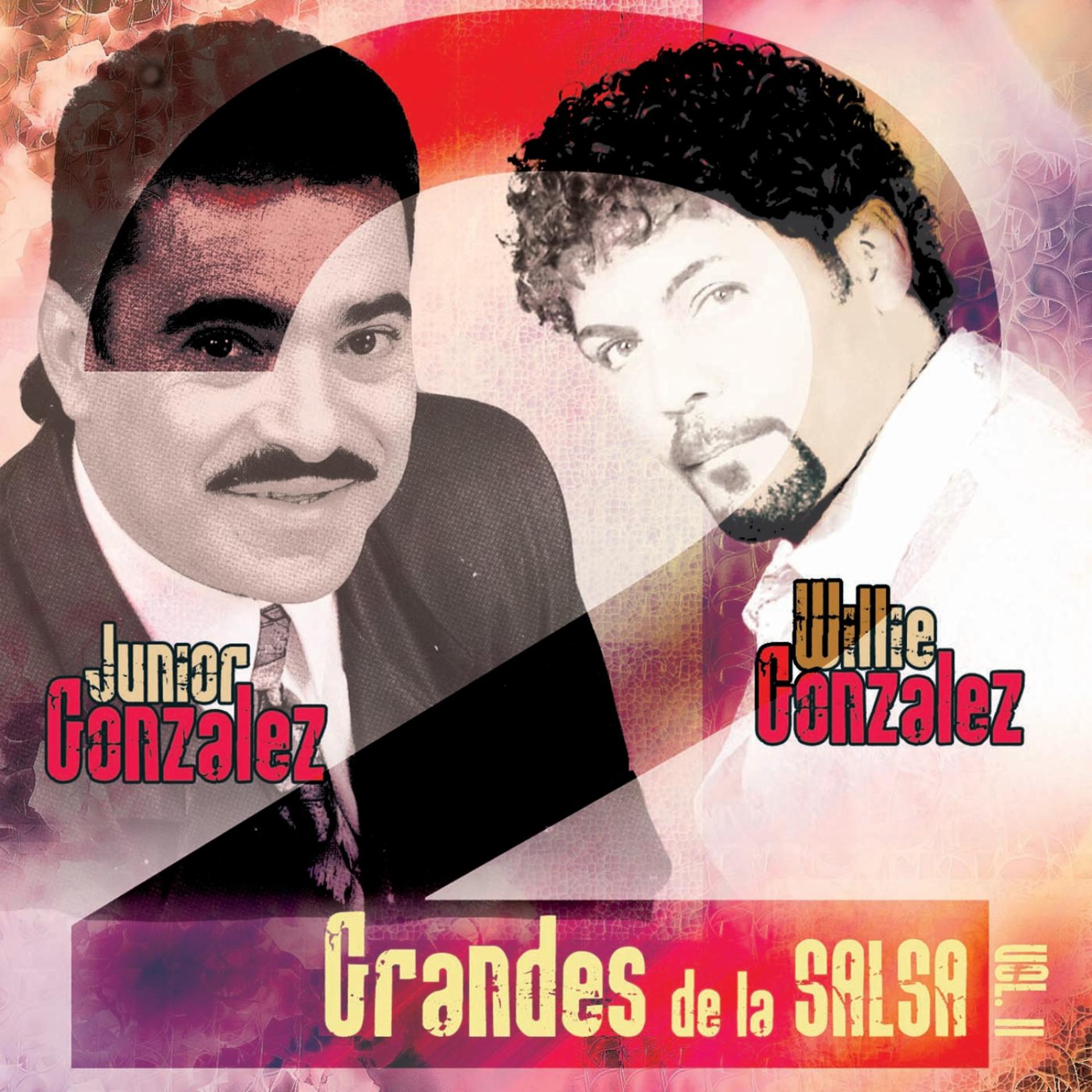 Постер альбома 2 Grandes de la Salsa Vol. 2