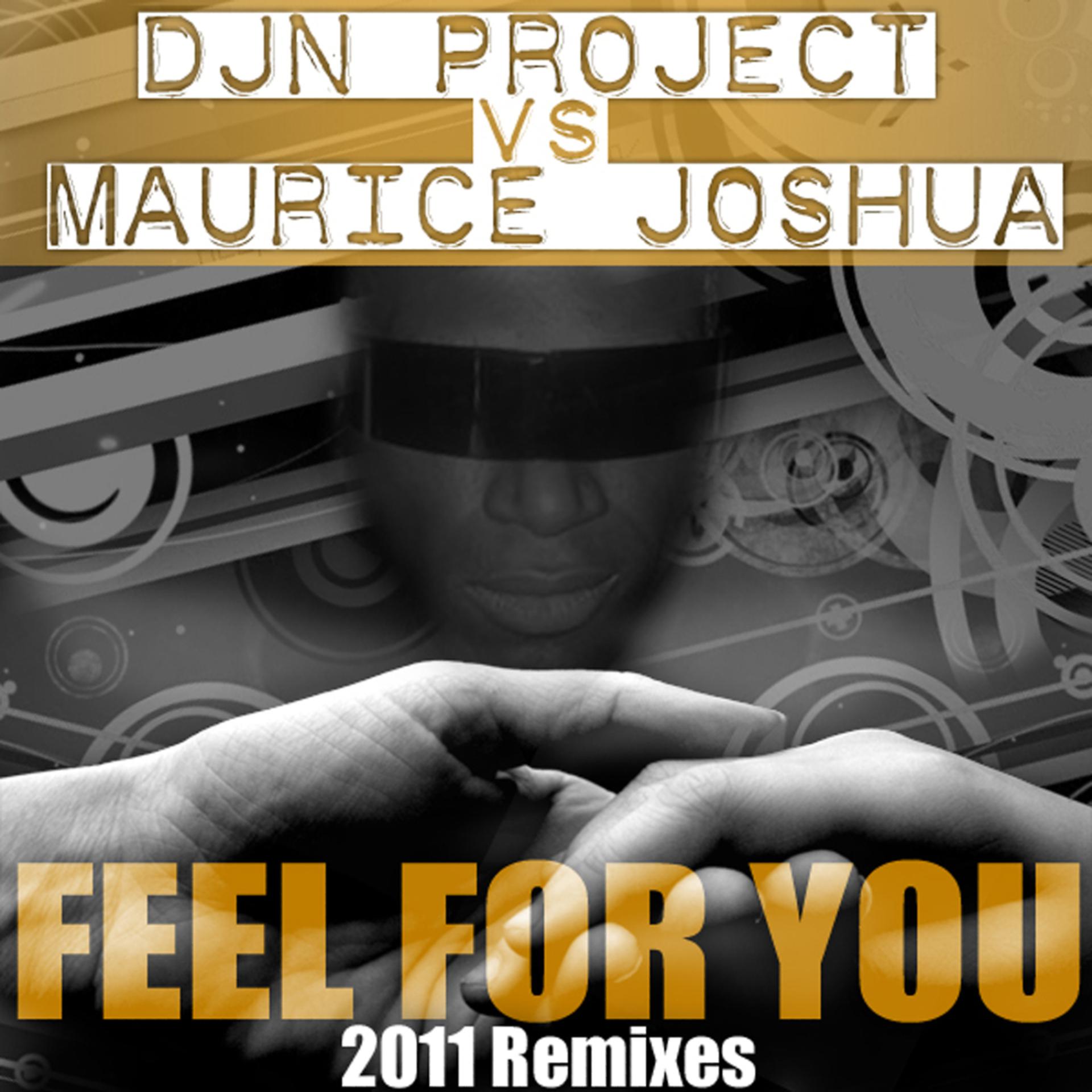 Постер альбома Feel for You 2011 Remixes