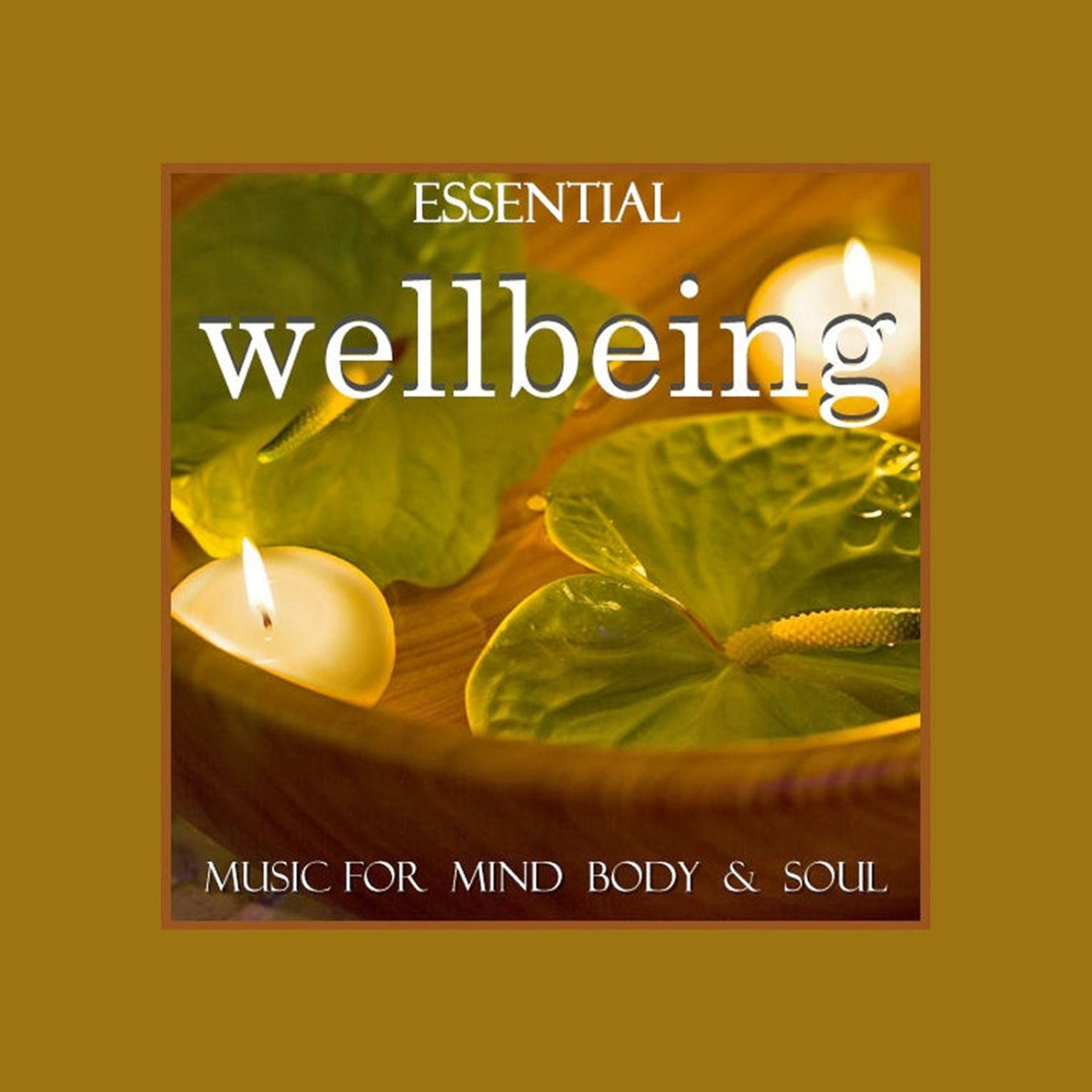 Постер альбома Essential Wellbeing