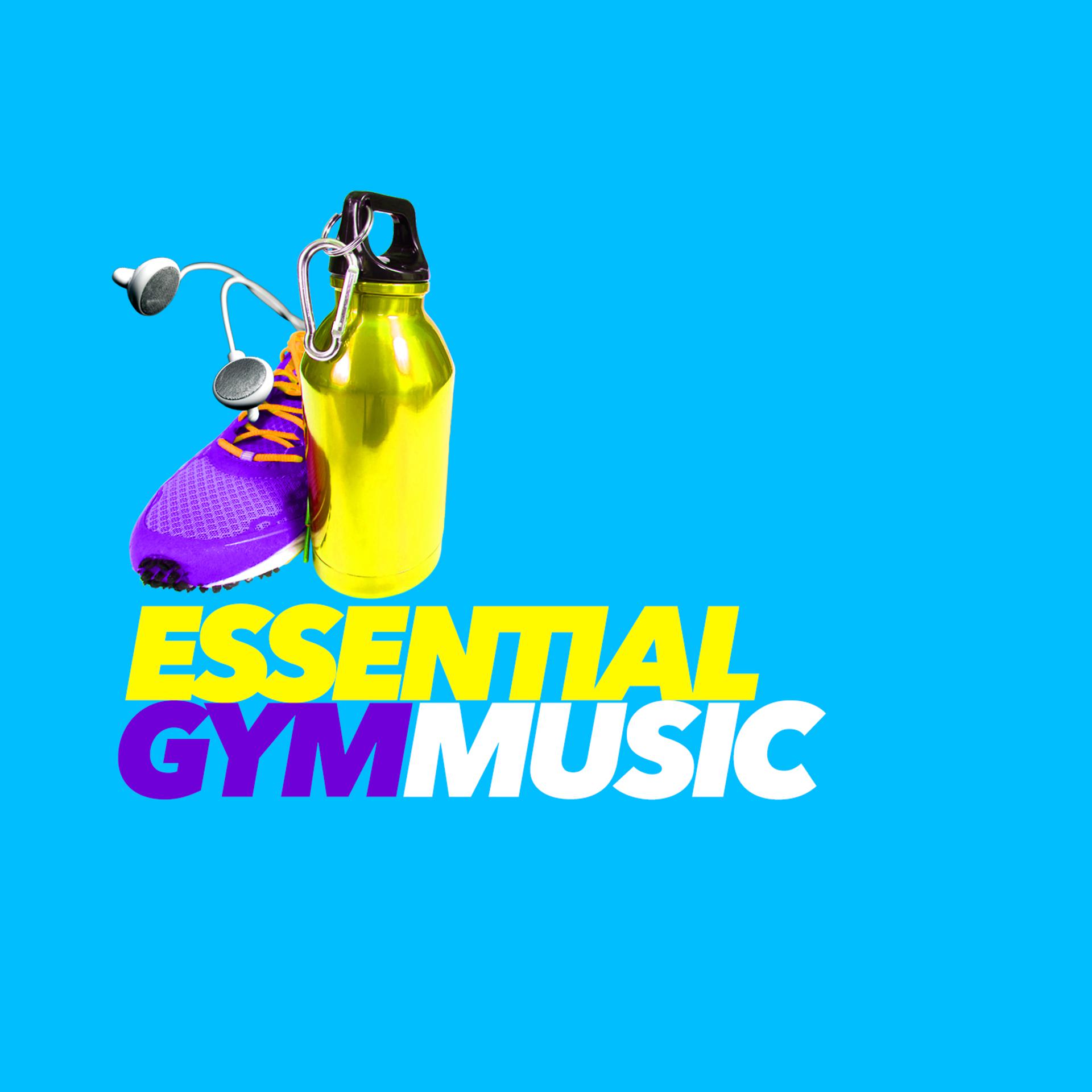 Постер альбома Essential Gym Music