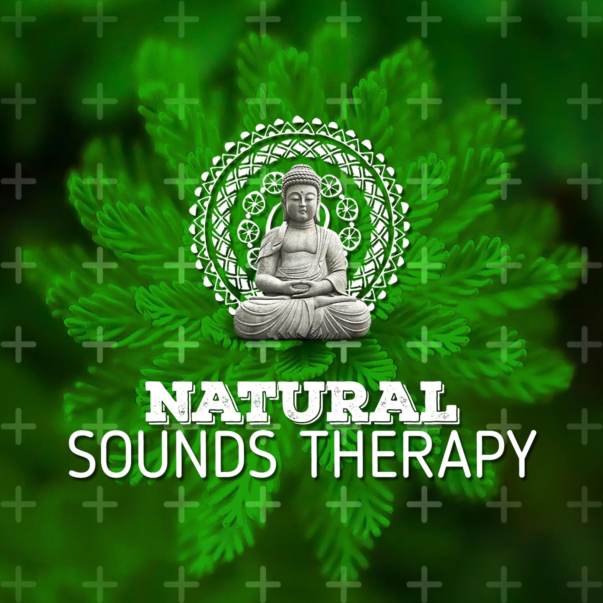 Постер альбома Natural Sounds Therapy
