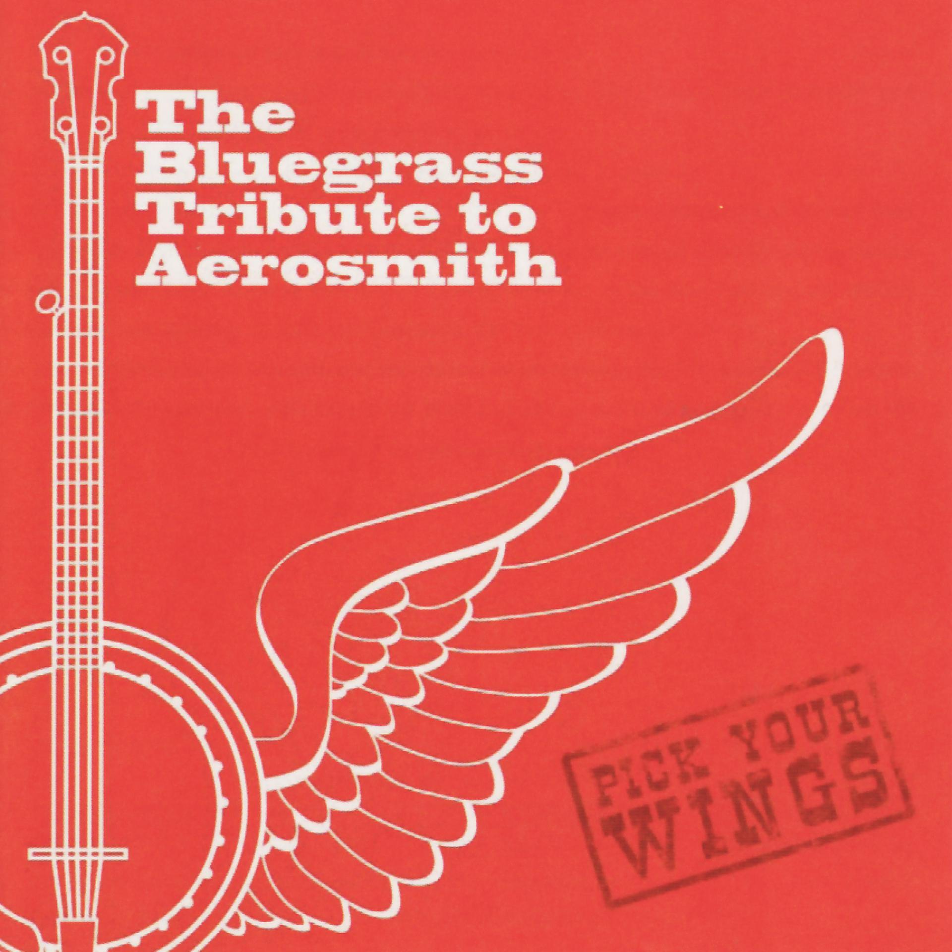 Постер альбома The Bluegrass Tribute to Aerosmith