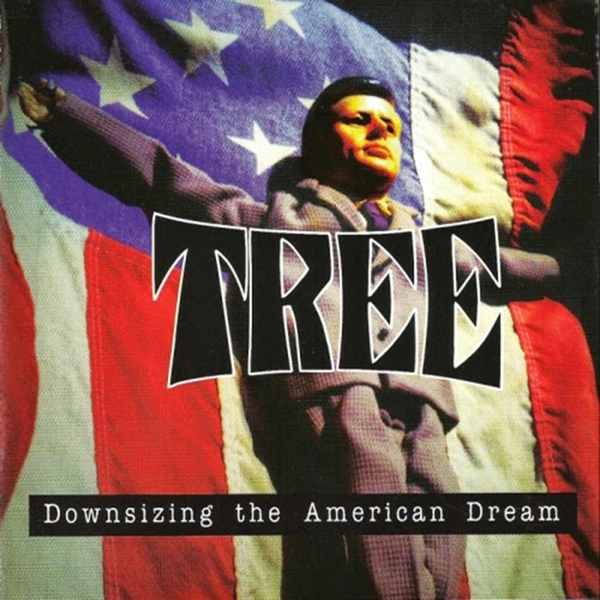 Постер альбома Downsizing the American Dream