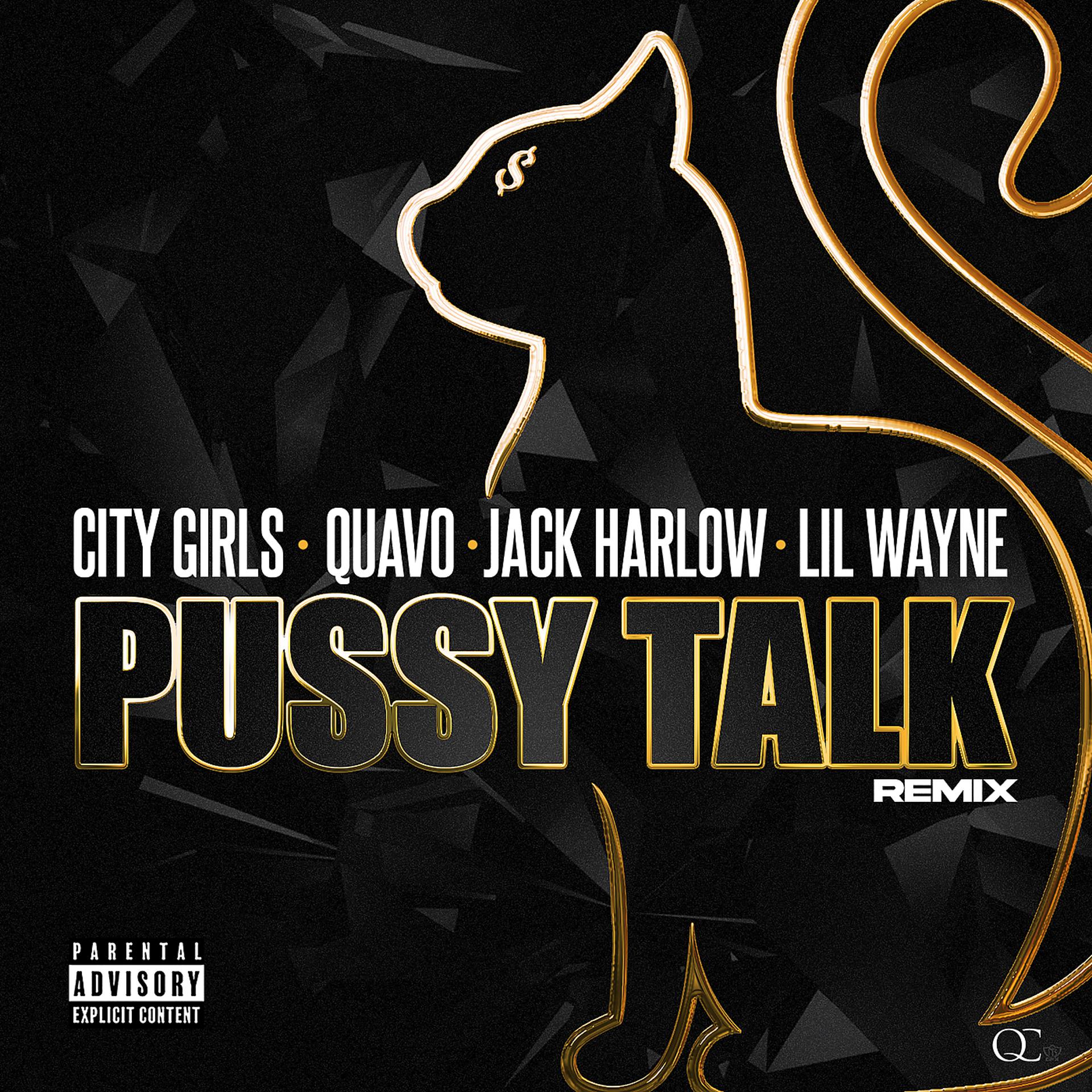 Постер альбома Pussy Talk