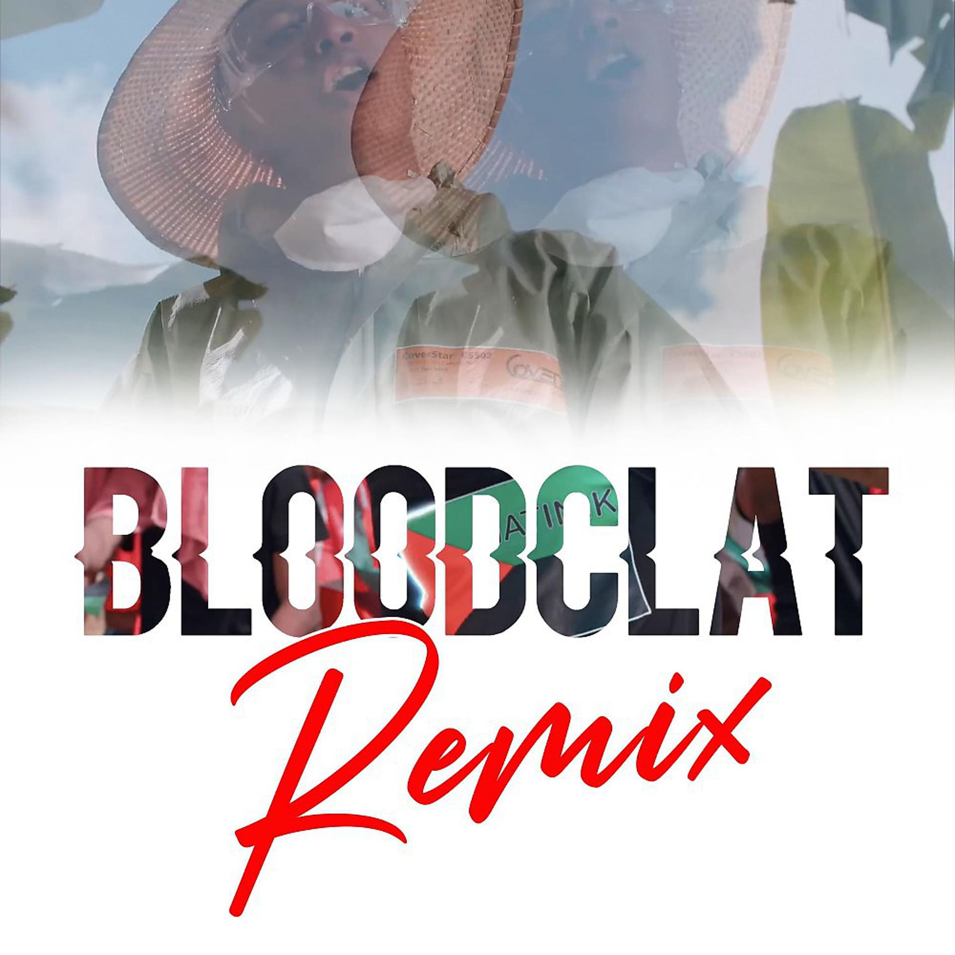 Постер альбома Bloodclat (Remix)