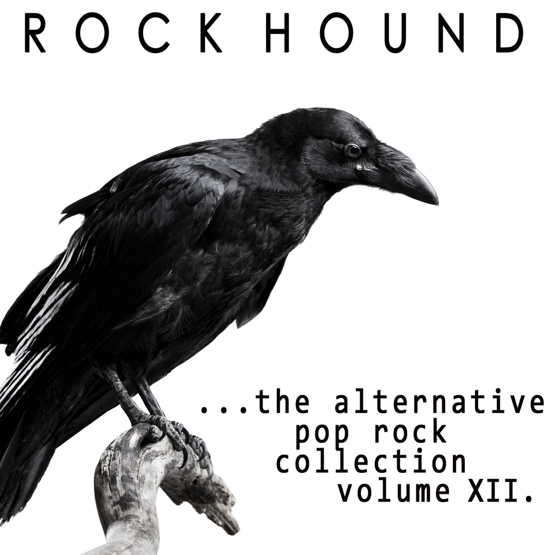 Постер альбома Rock Hound: Alternative Pop Rock, Vol. 12