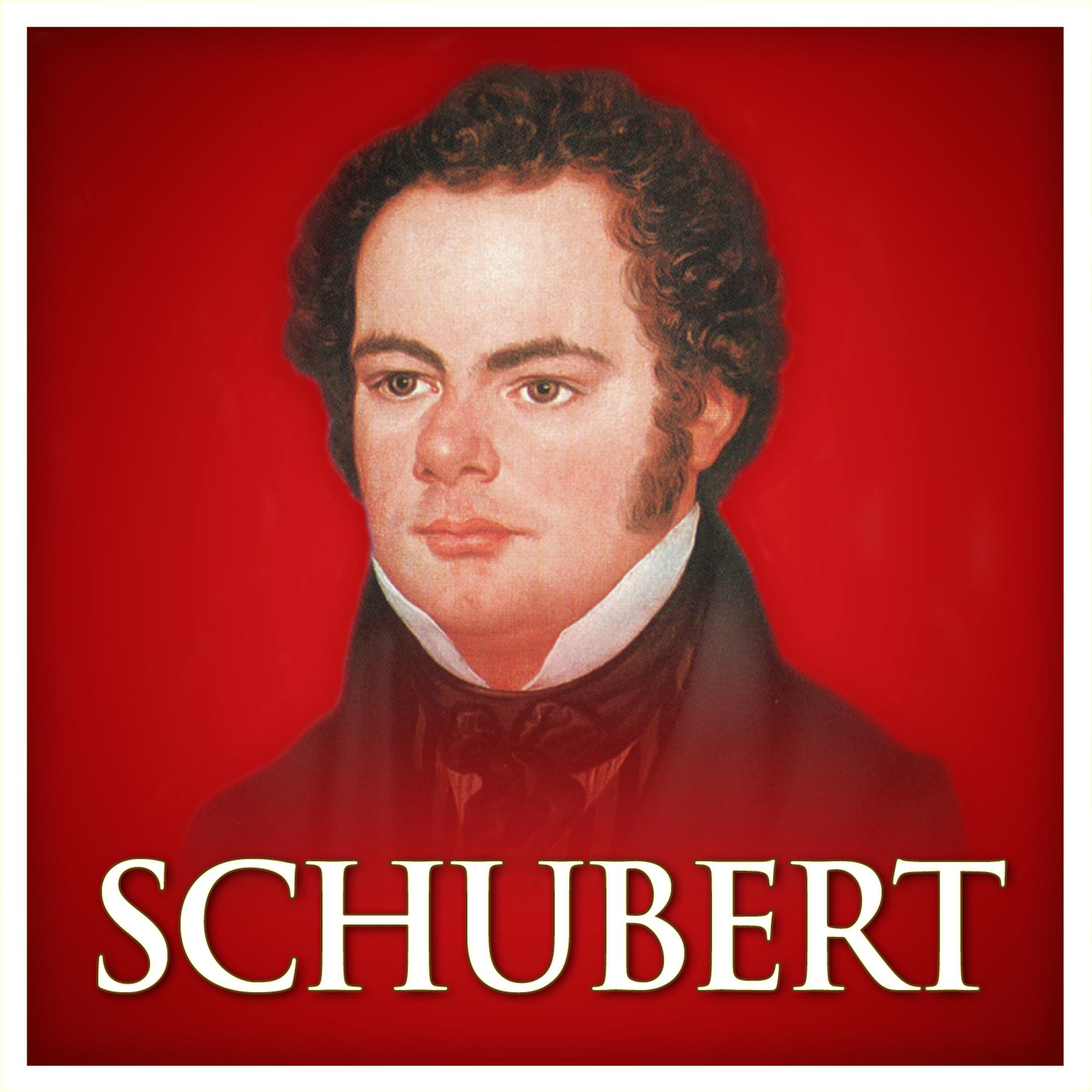 Постер альбома Schubert (Red Classics)