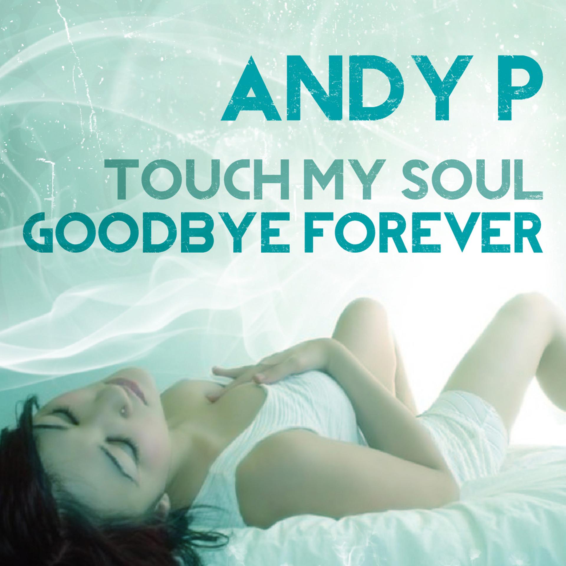 Постер альбома Touch My Soul - Goodbye Forever