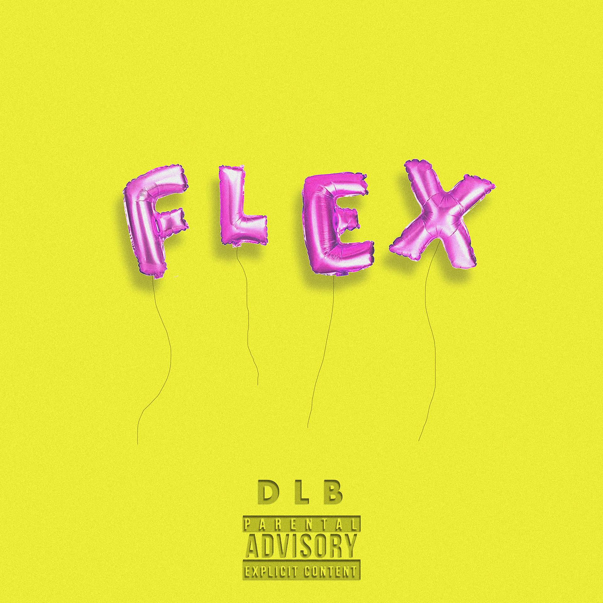 Постер альбома FLEX