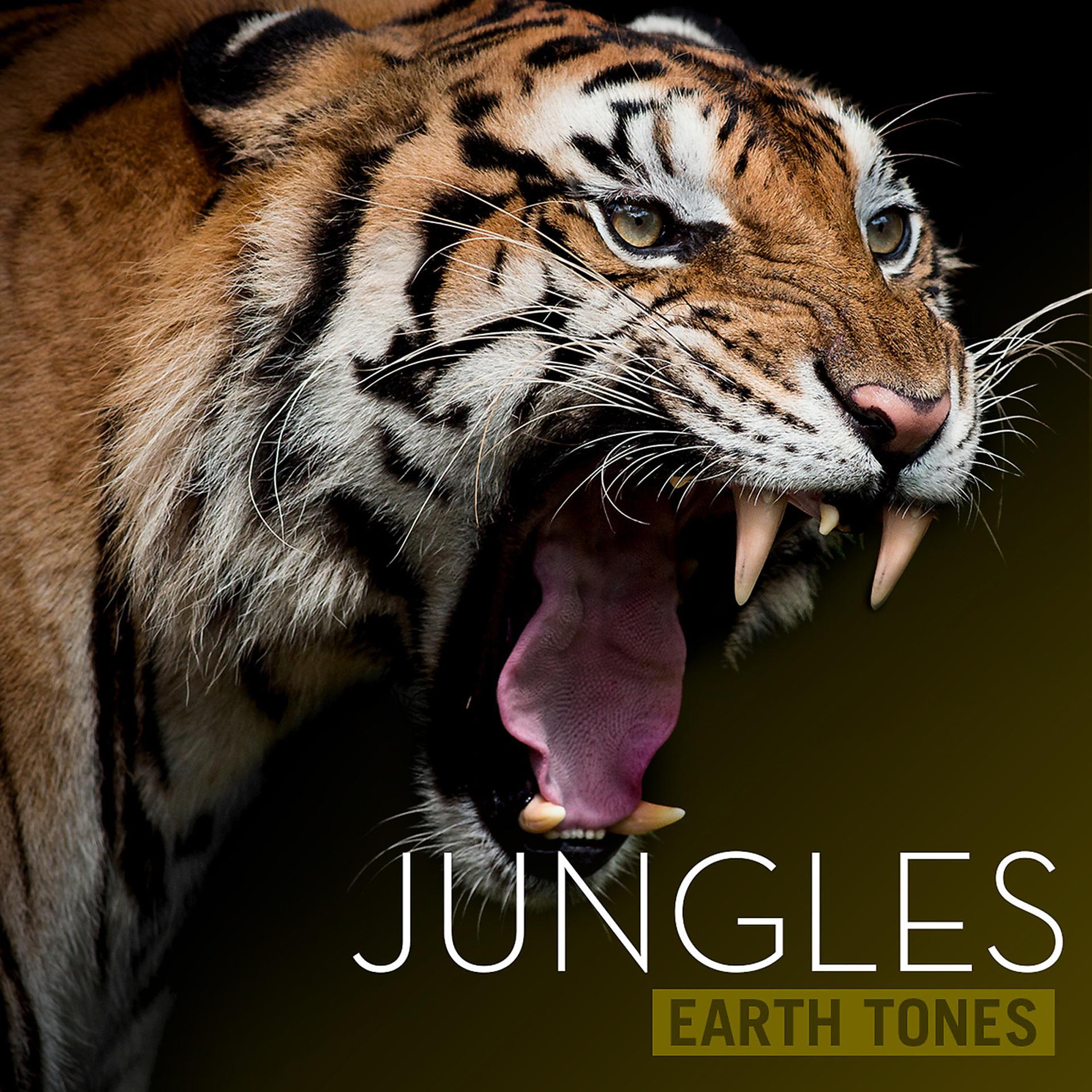 Постер альбома Earth Tones: Jungles