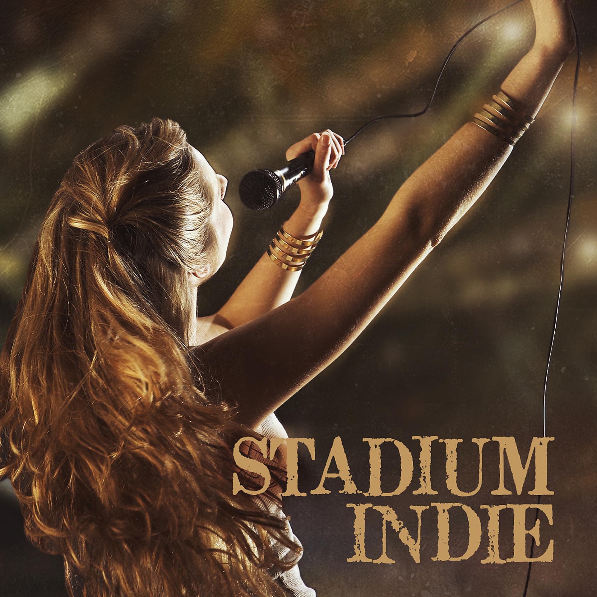 Постер альбома Stadium Indie