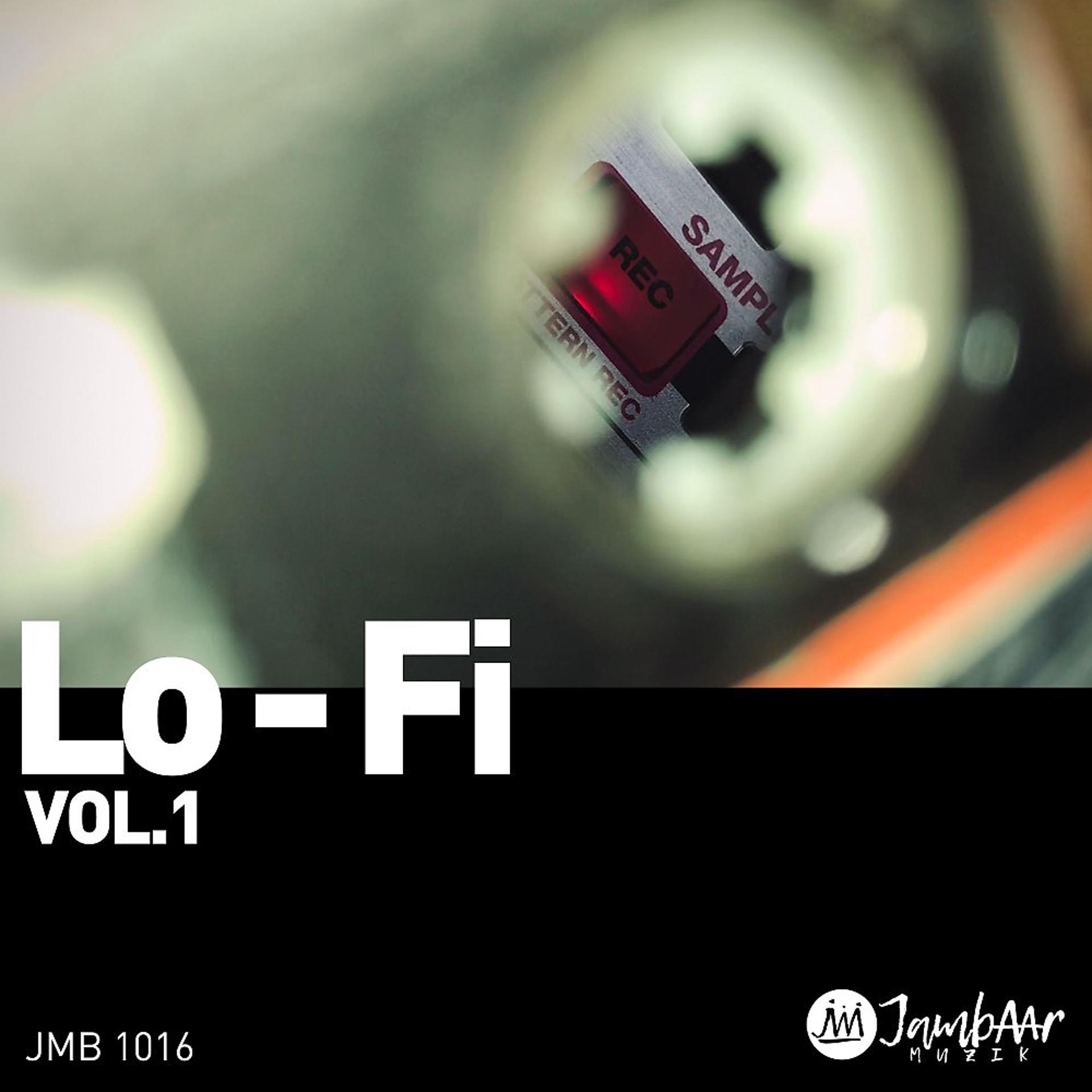Постер альбома Lo-Fi, Vol. 1