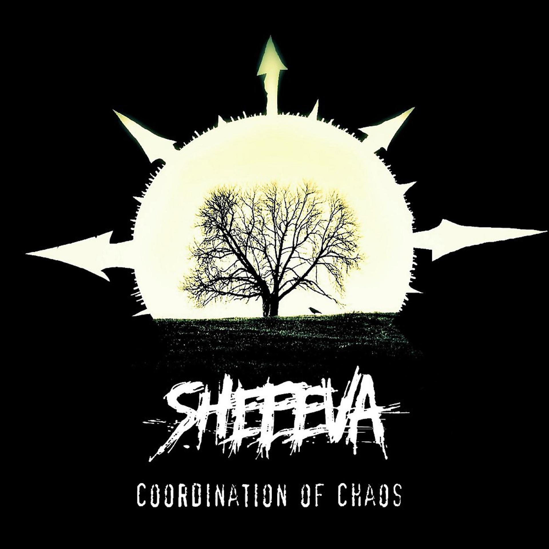 Постер альбома Coordination of Chaos