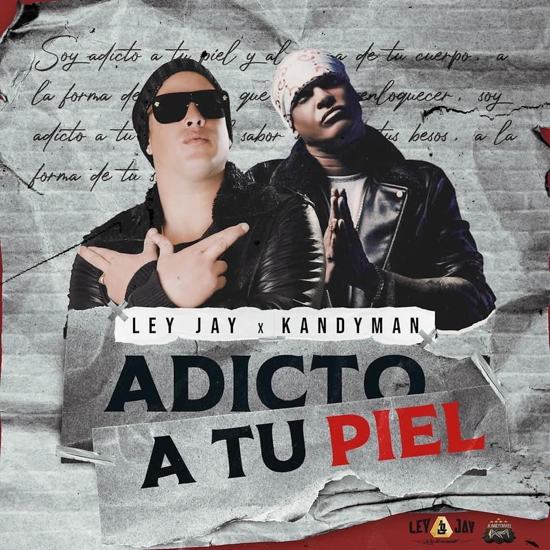 Постер альбома Adicto a Tu Piel