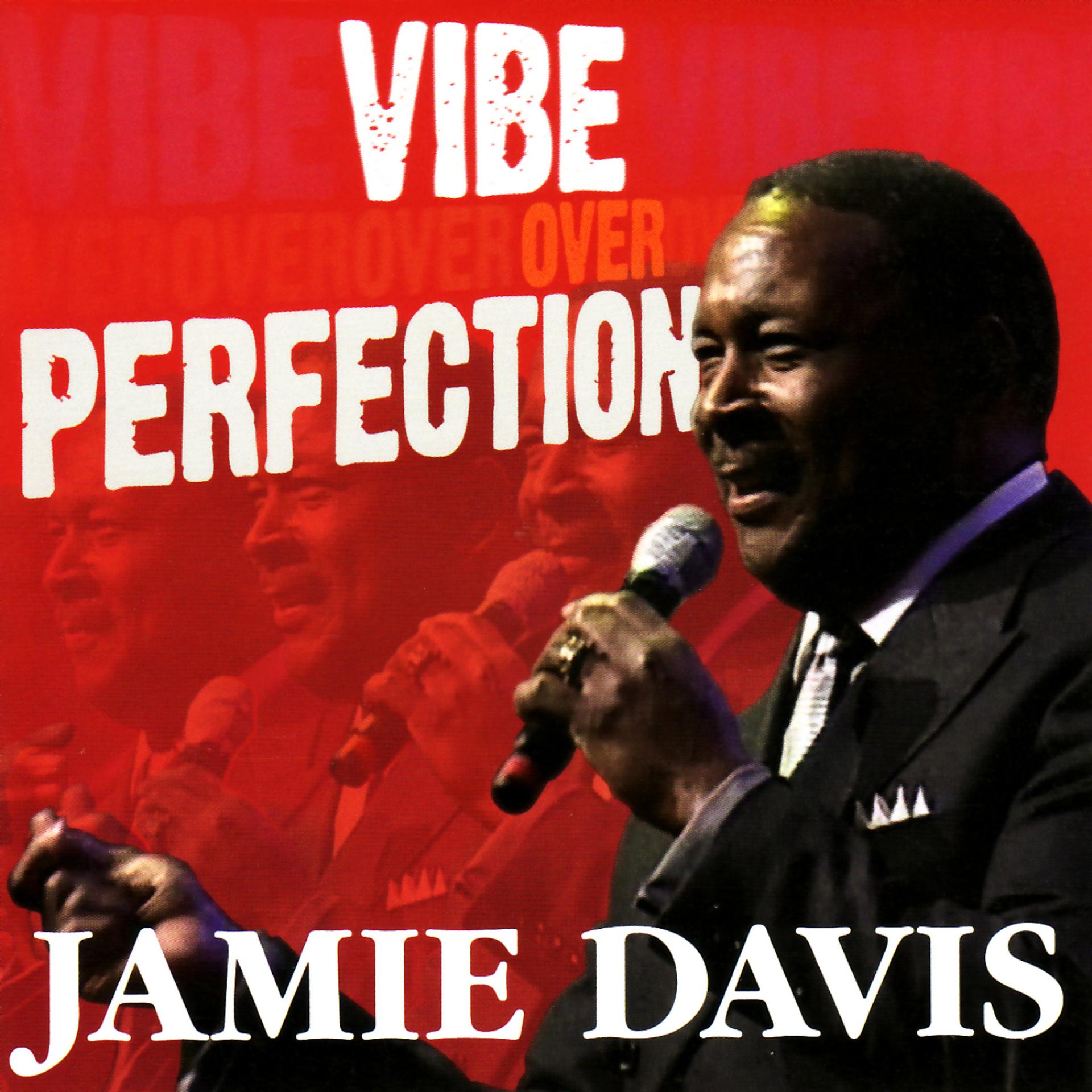 Постер альбома Vibe over Perfection