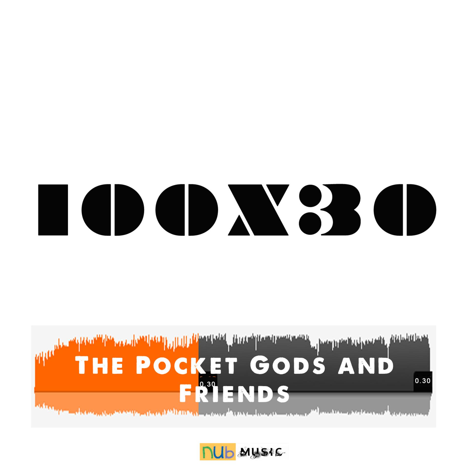 Постер альбома The Pocket Gods and Friends 100 X 30