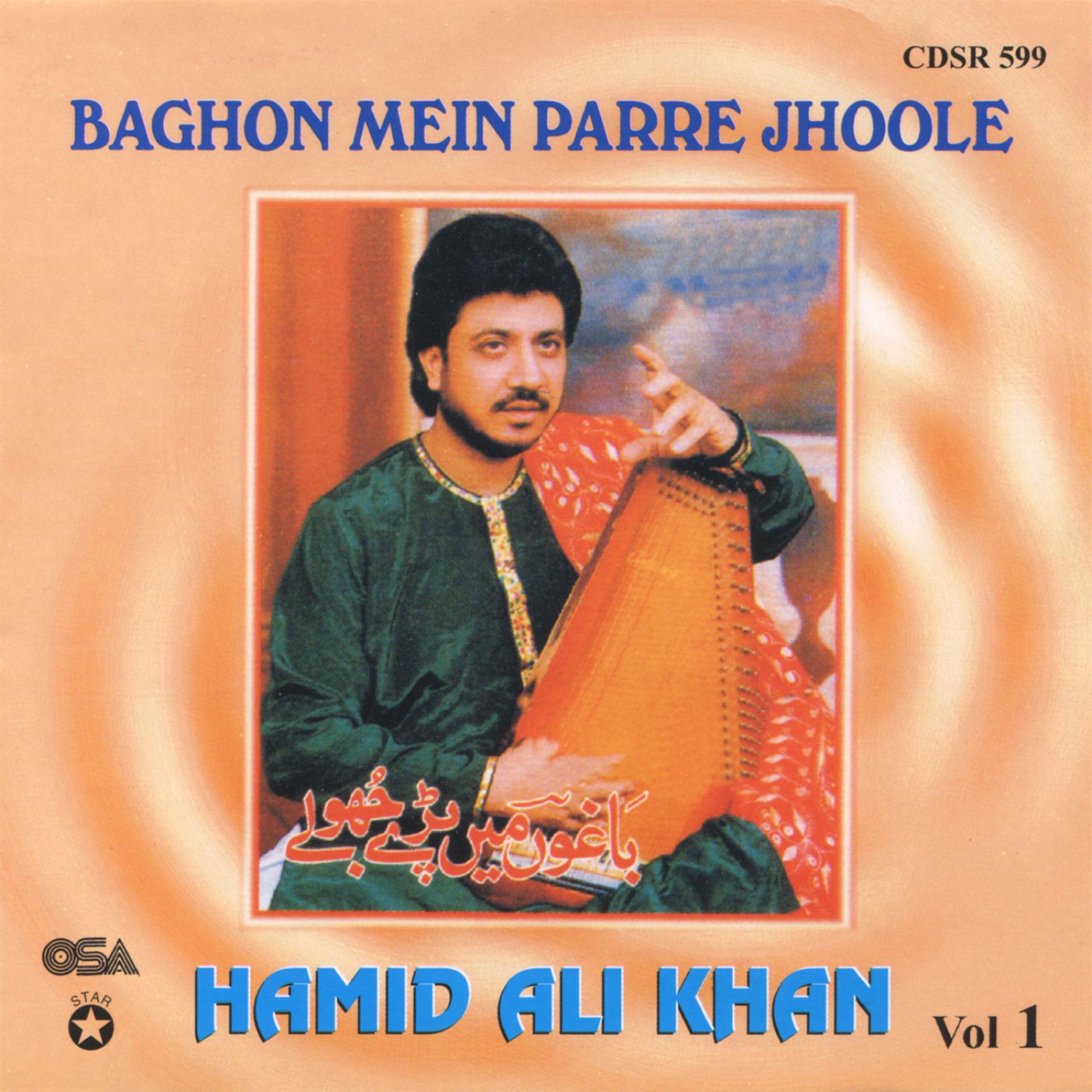 Постер альбома Baghon Mein Parre Jhoole