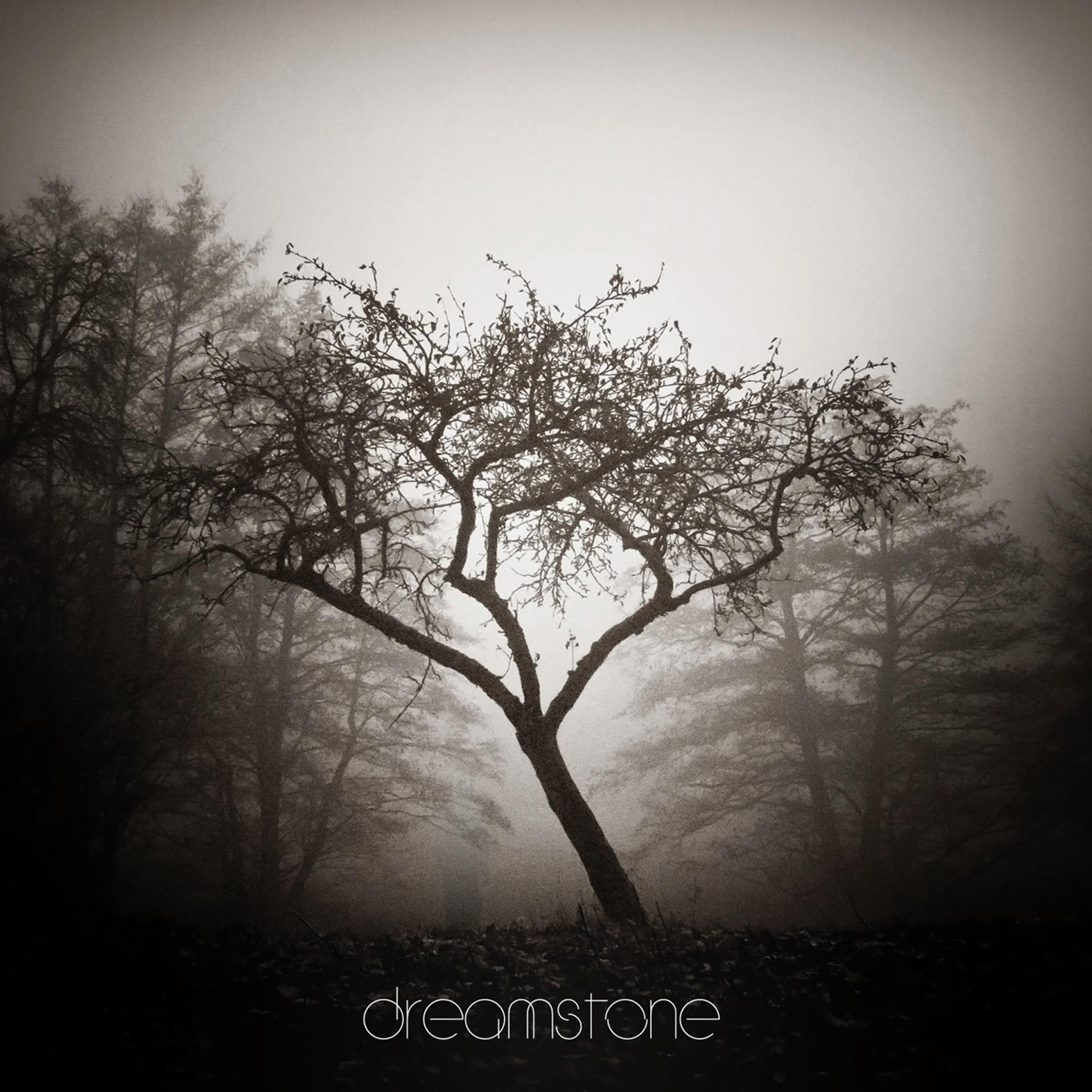 Постер альбома Dreamstone