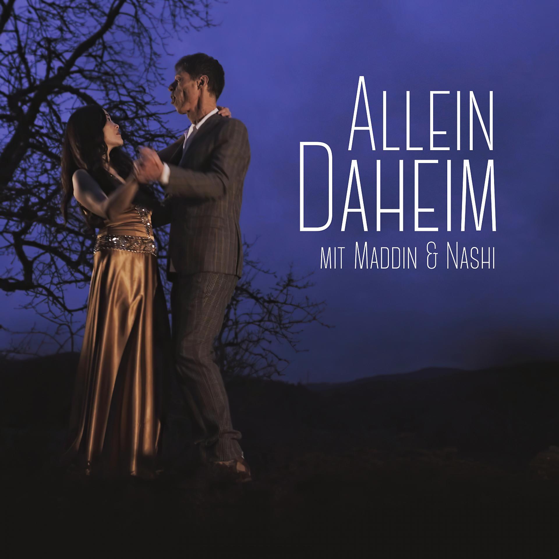 Постер альбома Allein Daheim