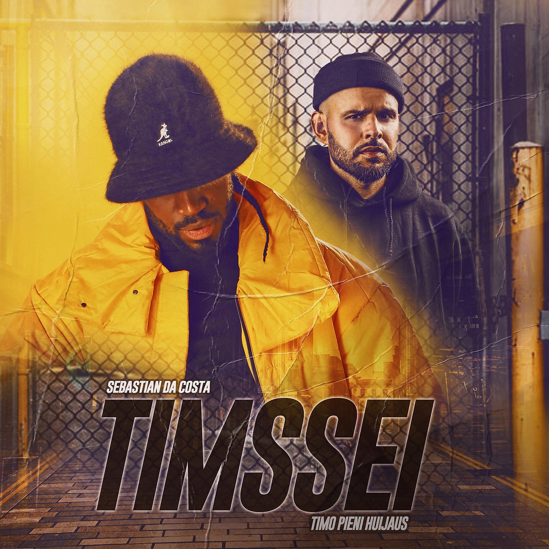 Постер альбома Timssei