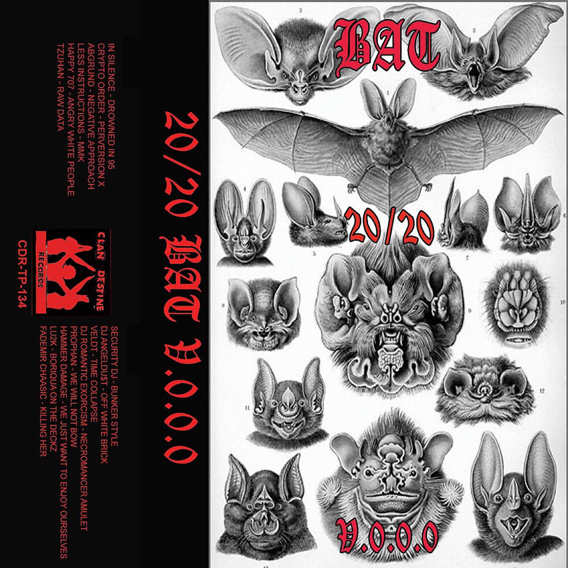 Постер альбома 20/20 Bat V.0.0.0