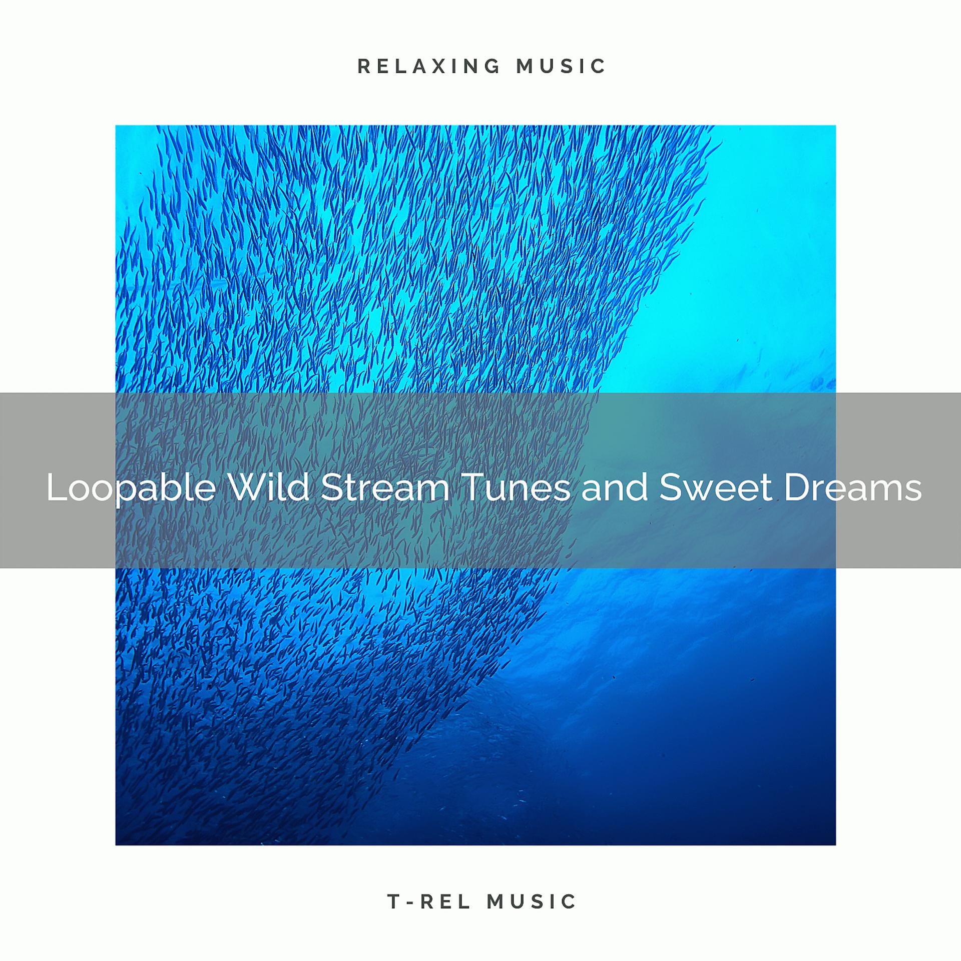 Постер альбома Loopable Wild Stream Tunes and Sweet Dreams