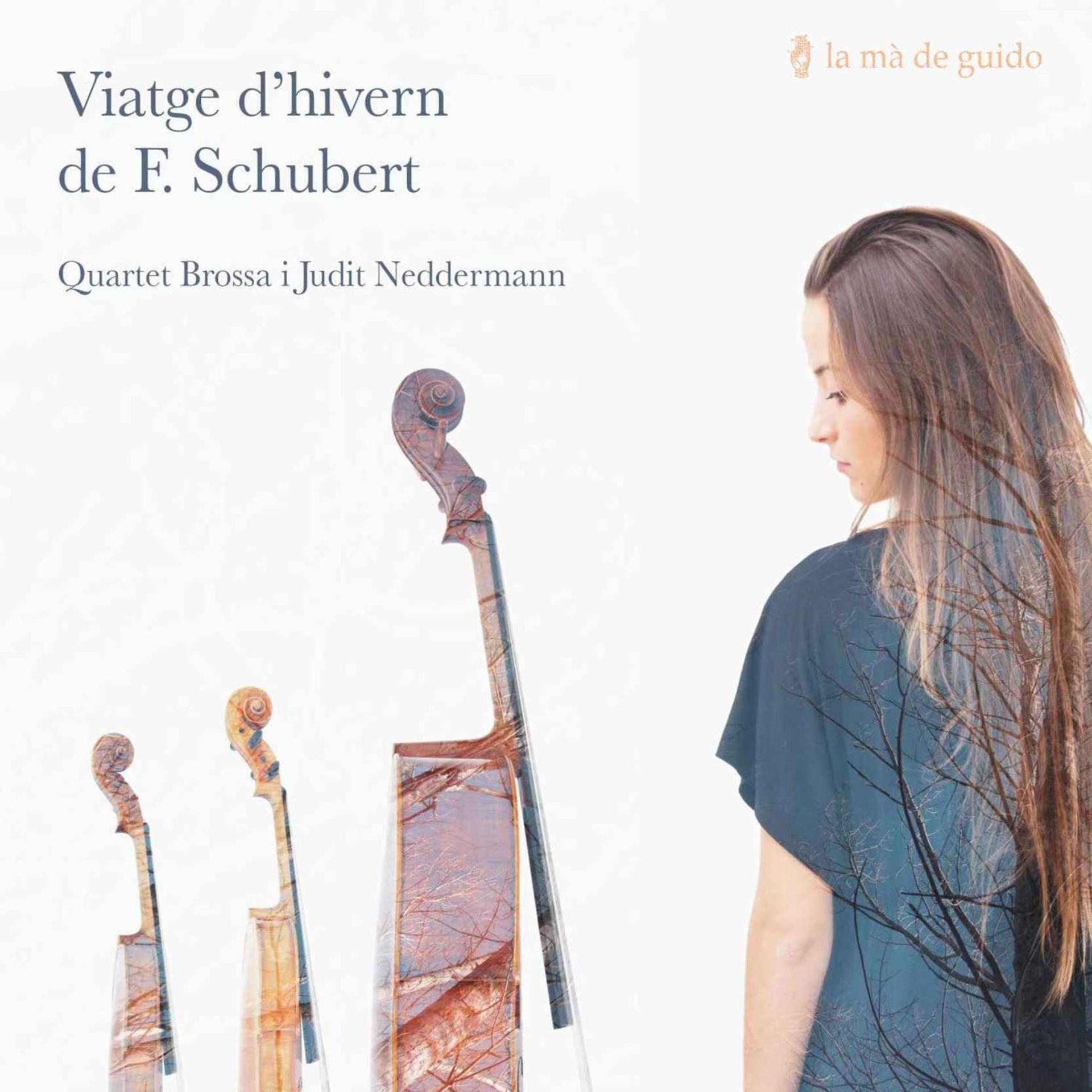 Постер альбома Viatge d'hivern de Franz Schubert