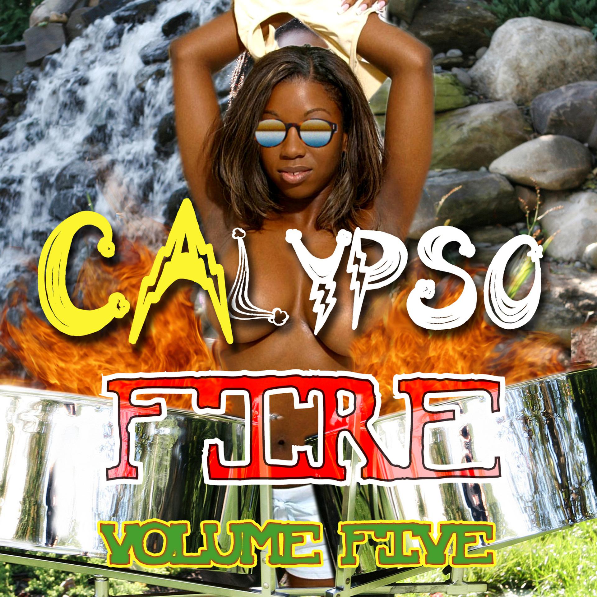 Постер альбома Calypso Fire, Vol. 5
