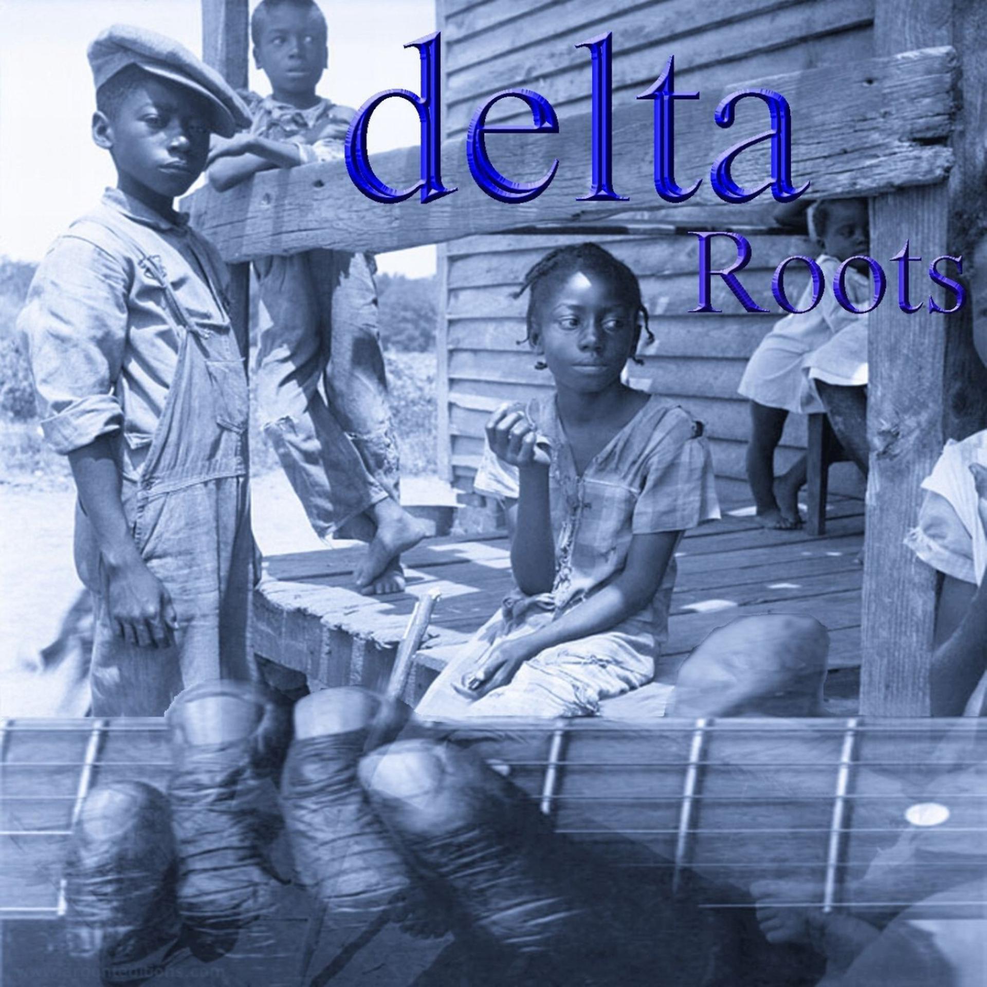 Постер альбома Delta Roots