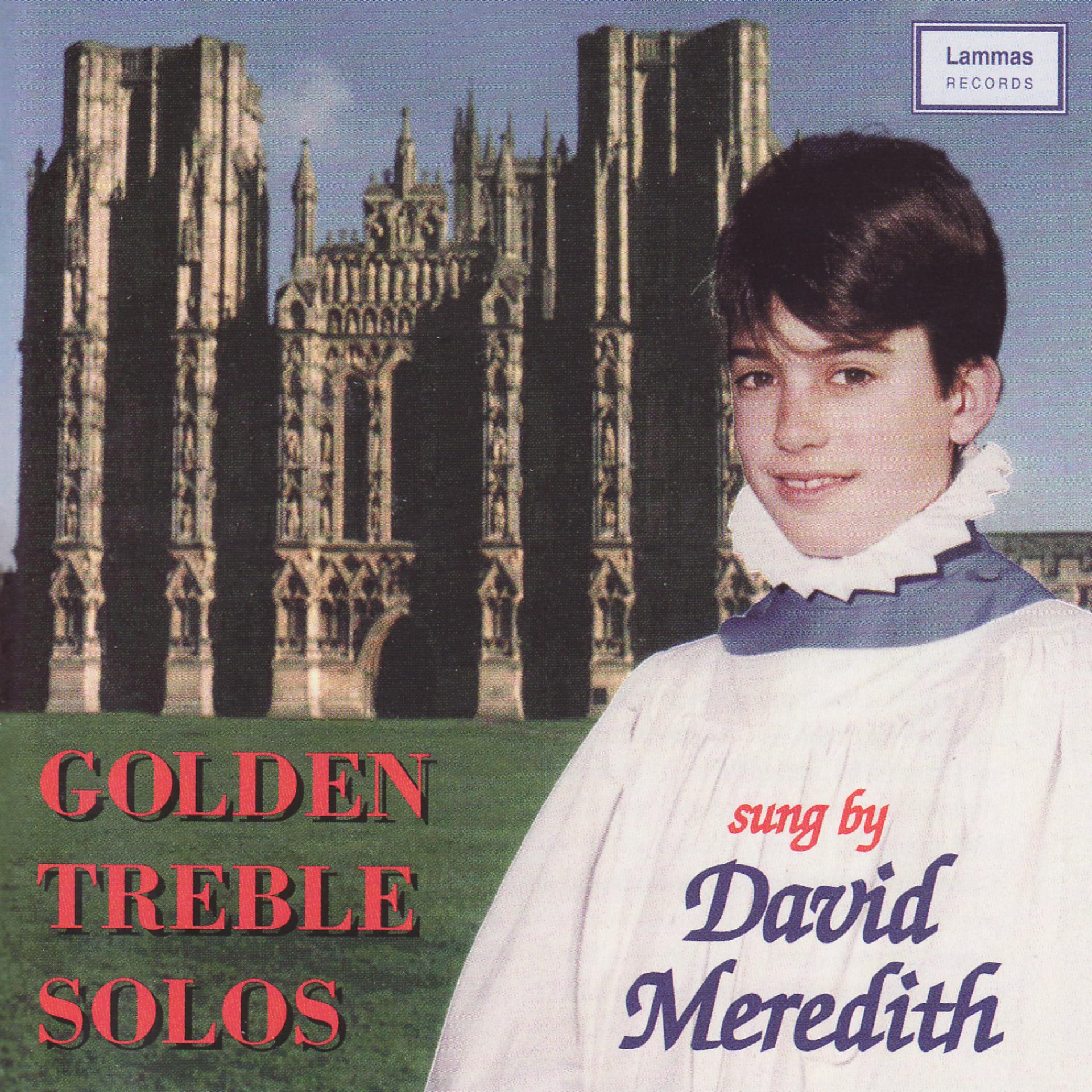 Постер альбома Golden Treble Solos