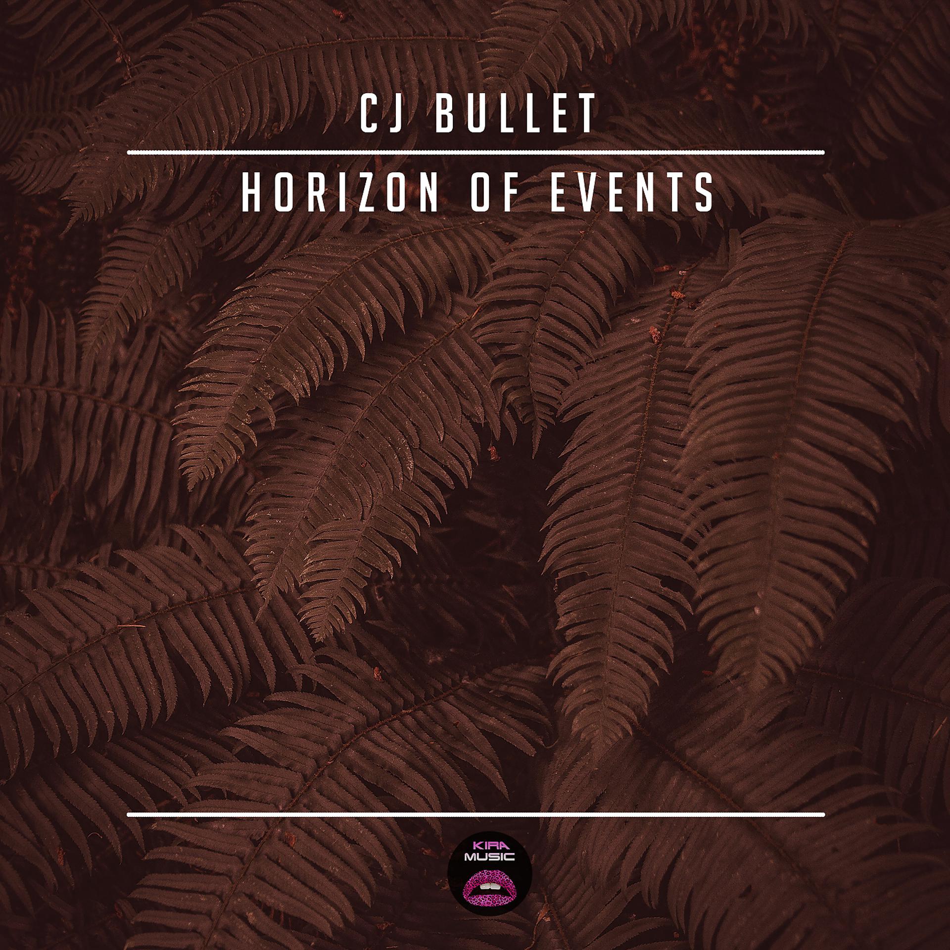Постер альбома Horizon Of Events