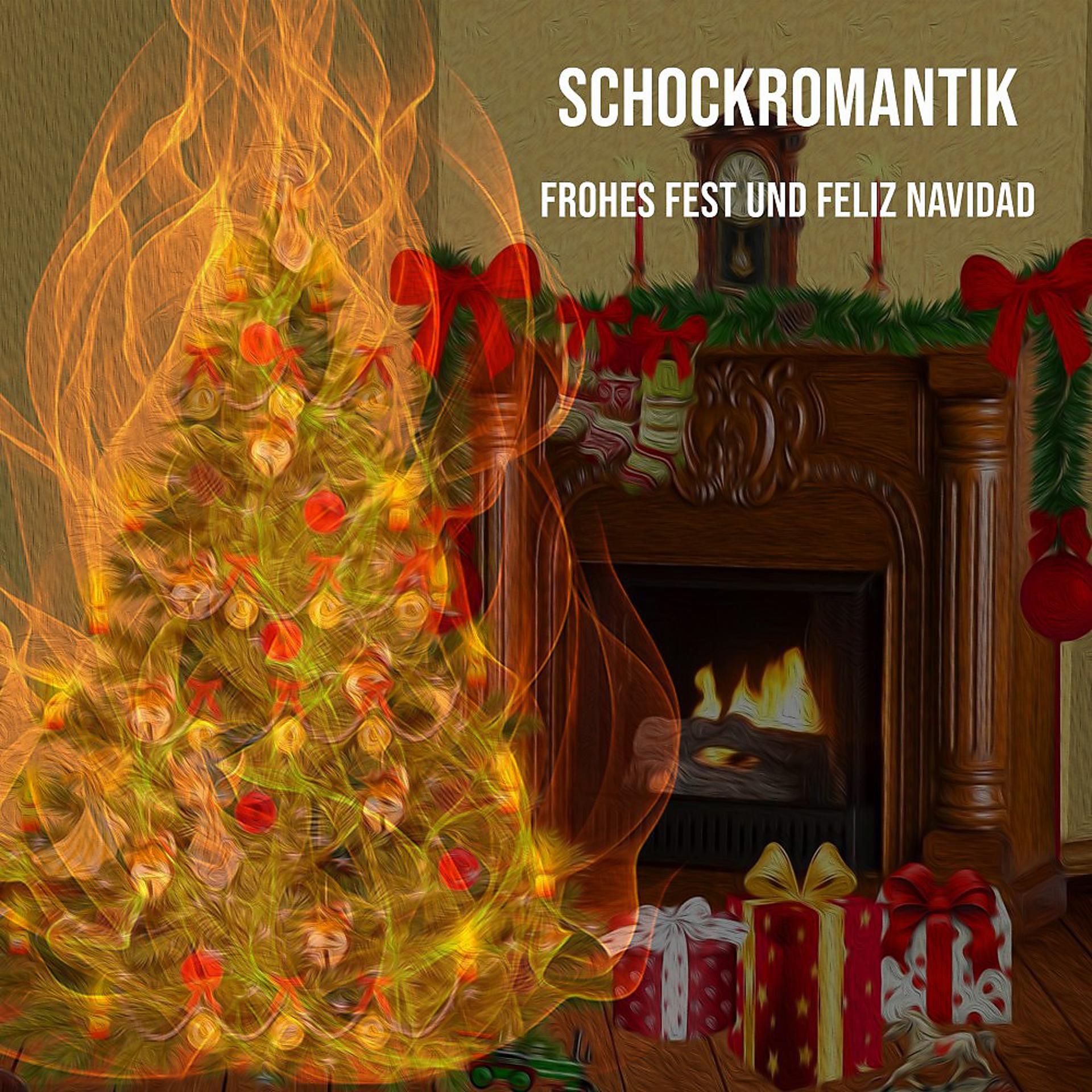 Постер альбома Frohes Fest und Feliz Navidad