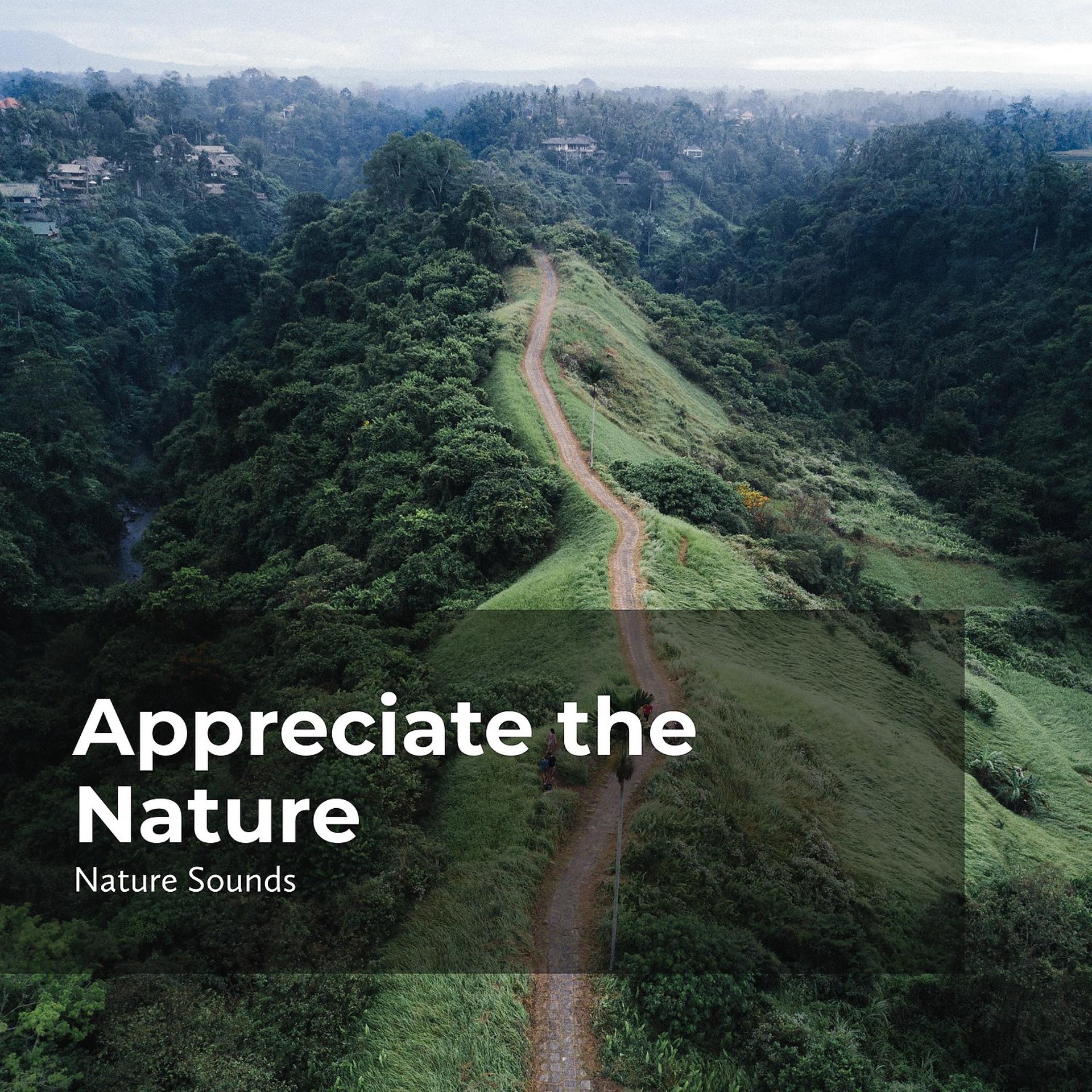 Постер альбома Appreciate the Nature