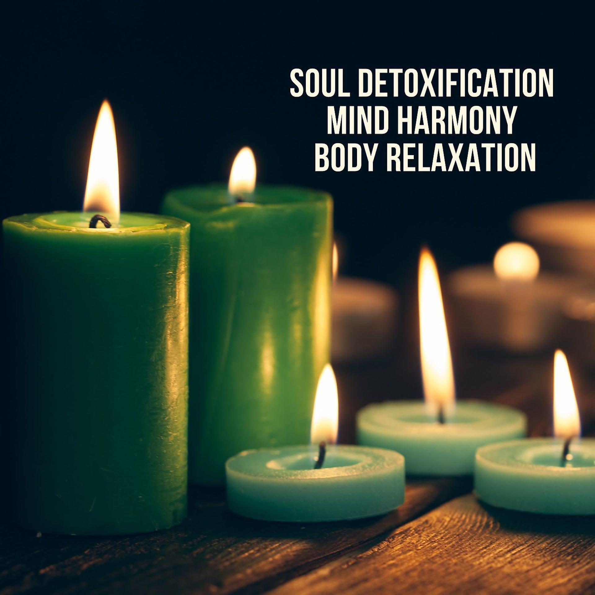 Постер альбома Soul Detoxification, Mind Harmony, Body Relaxation