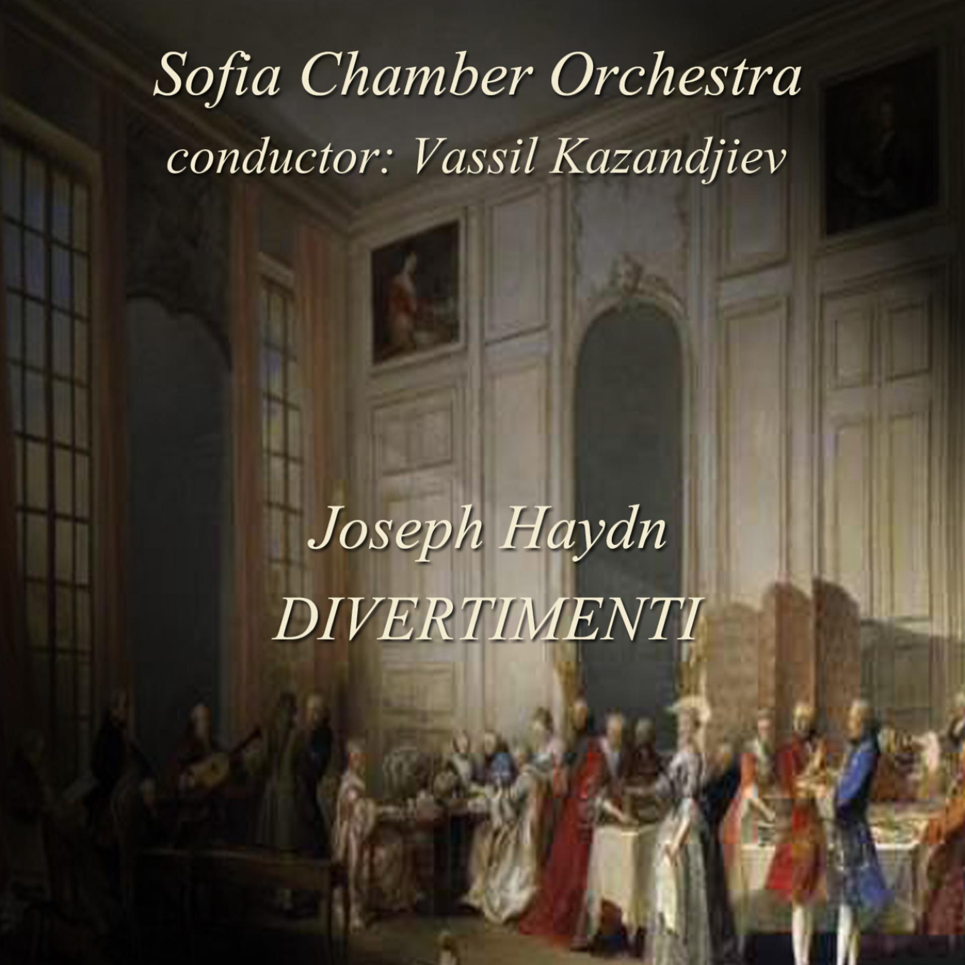 Постер альбома Joseph Haydn: Divertimenti