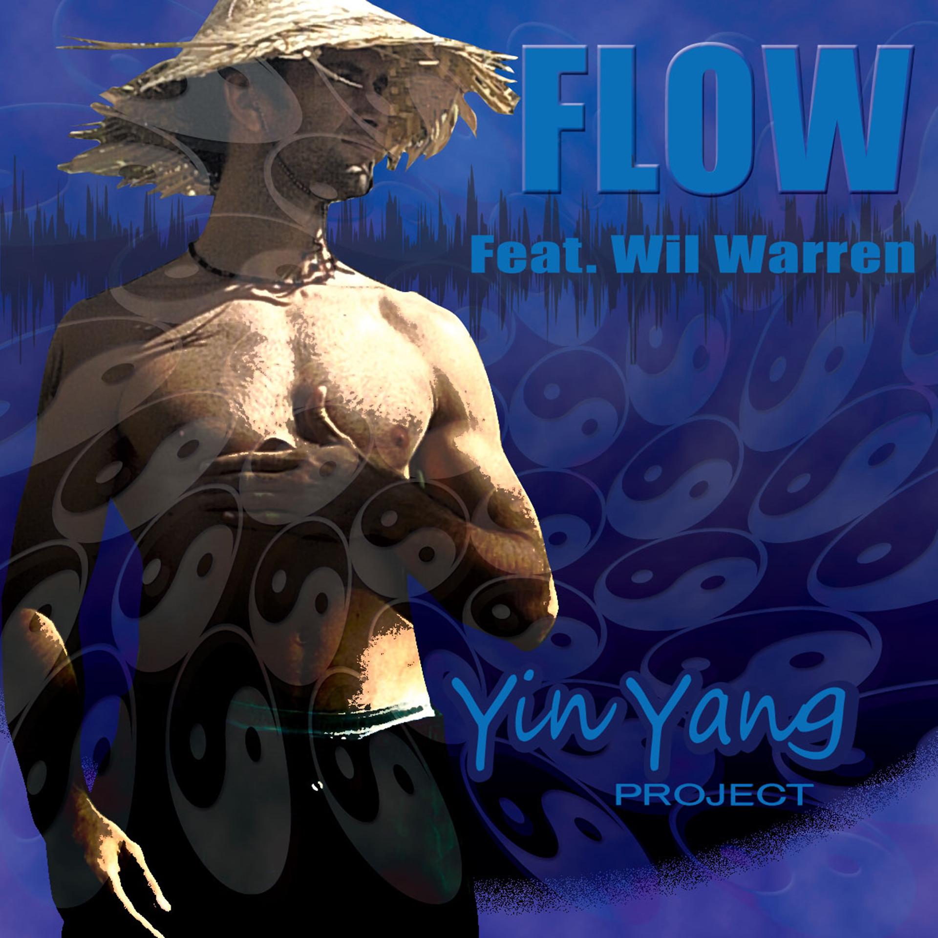 Постер альбома Yin Yang Project