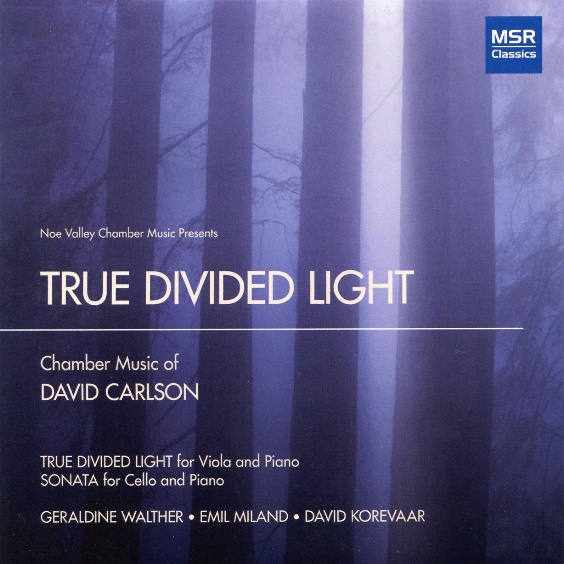 Постер альбома True Divided Light: Chamber Music of David Carlson