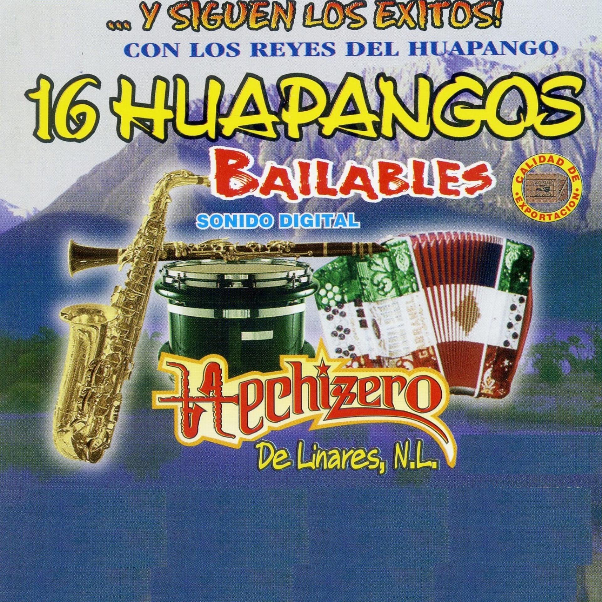 Постер альбома 16 Huapangos Bailables