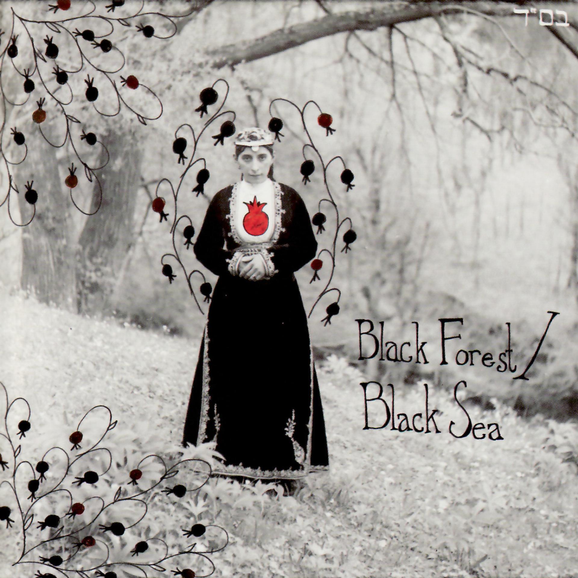 Постер альбома Black Forest / Black Sea