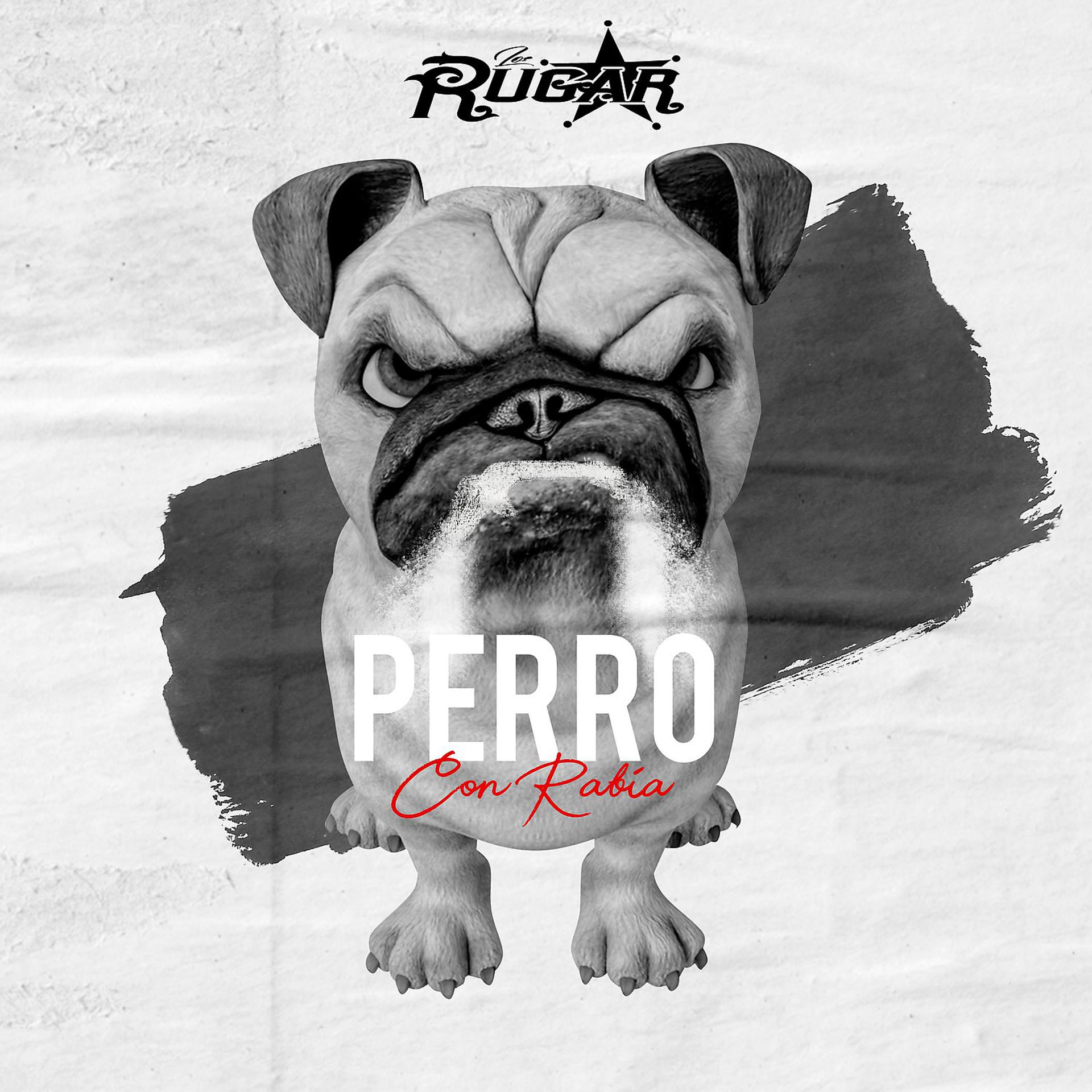 Постер альбома Perro Con Rabia