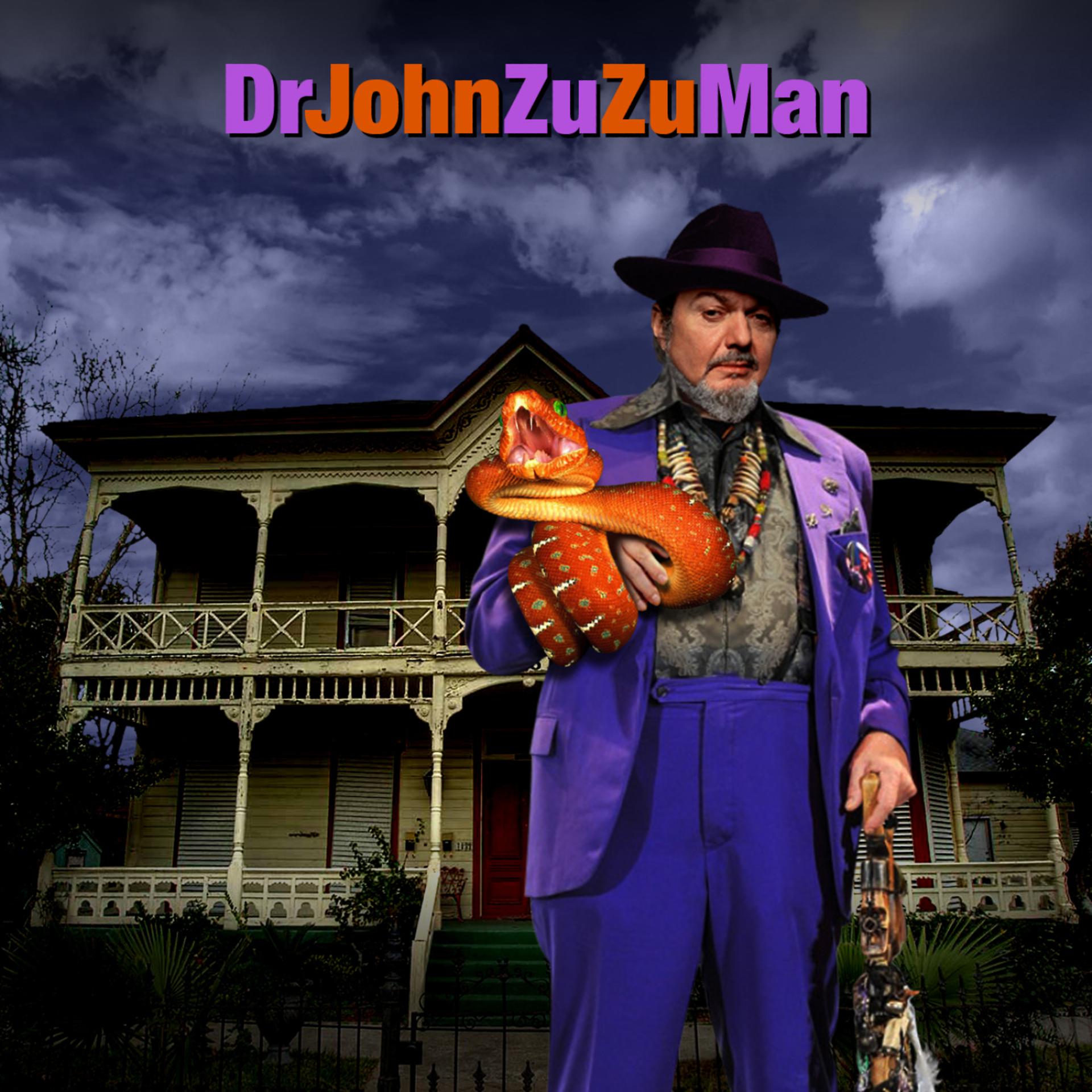 Постер альбома Zu Zu Man