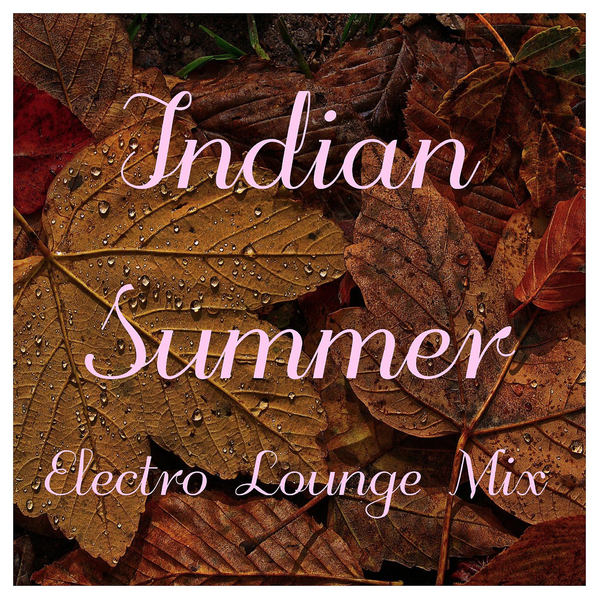 Постер альбома Indian Summer Electro Lounge Mix