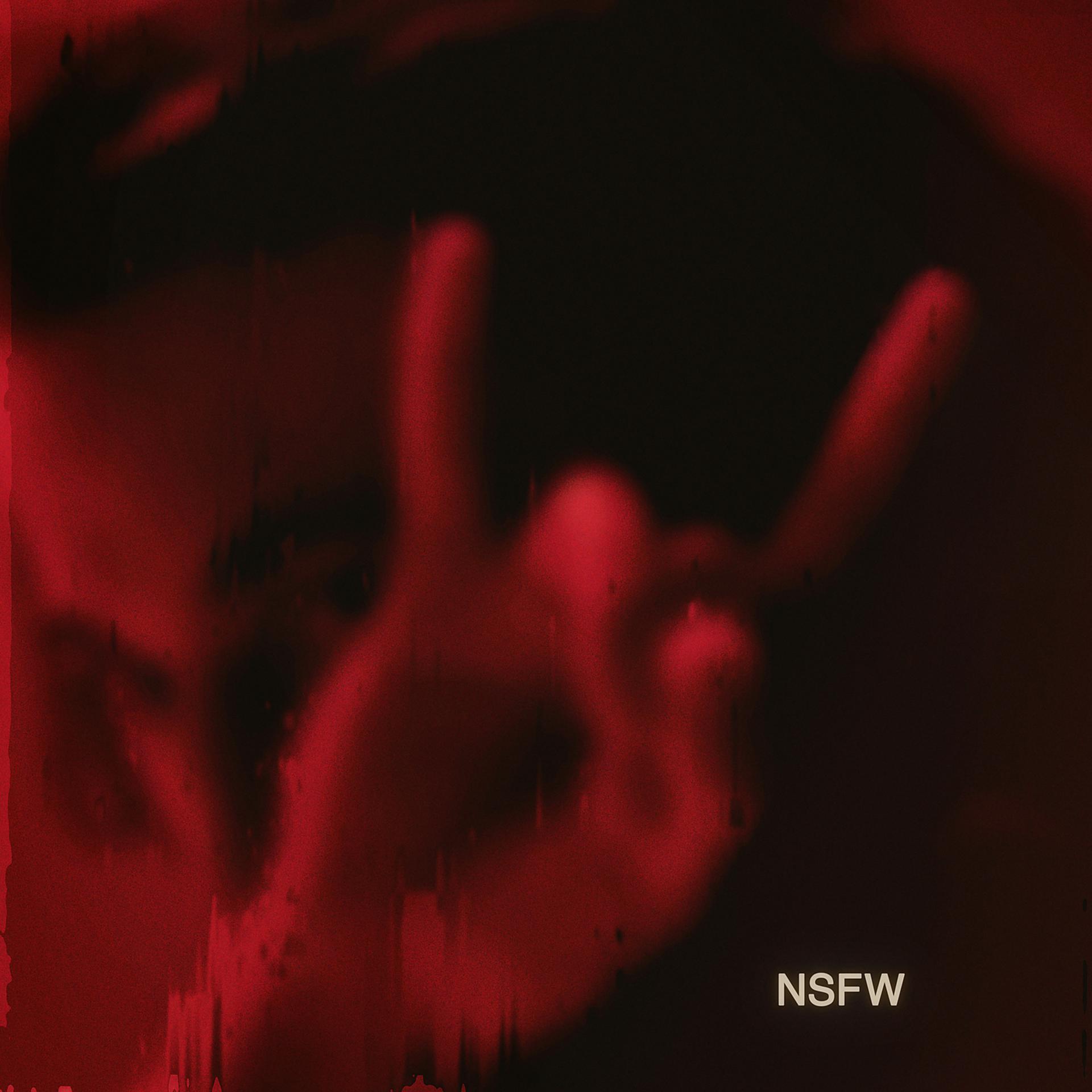 Постер альбома NSFW