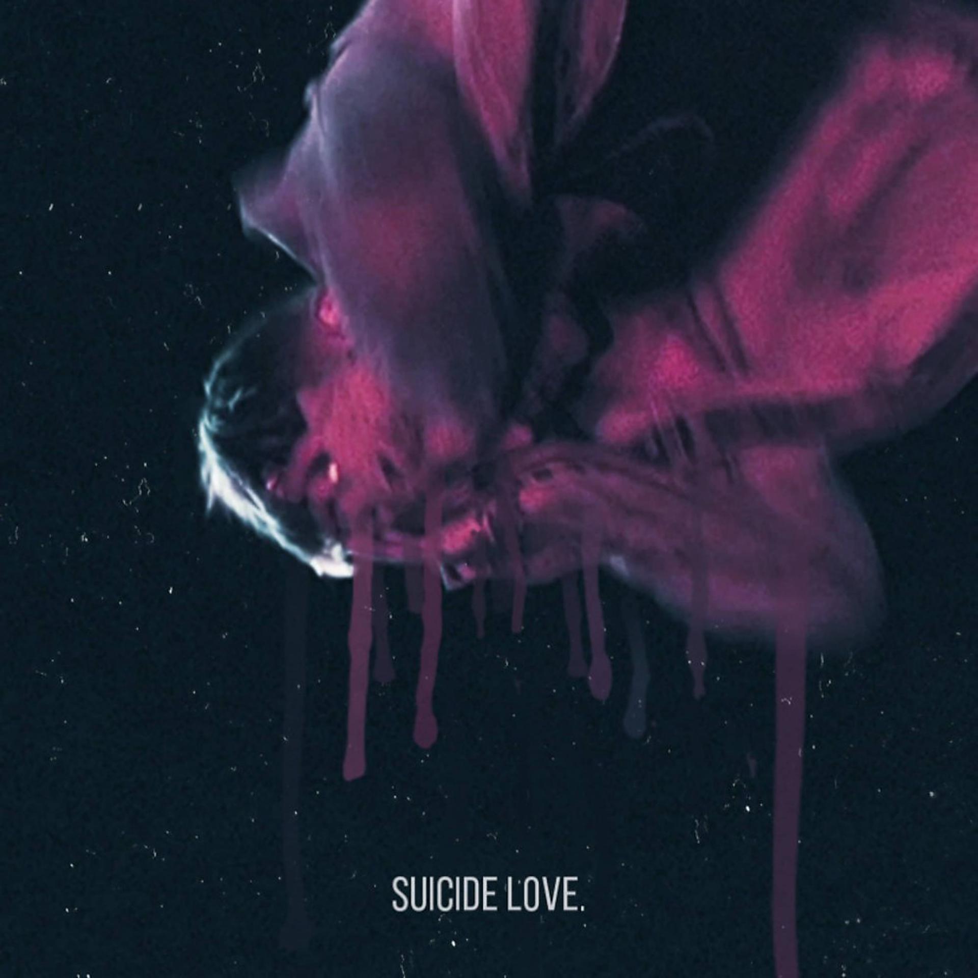 Постер альбома Suicide Love (Prod. By Inouts)