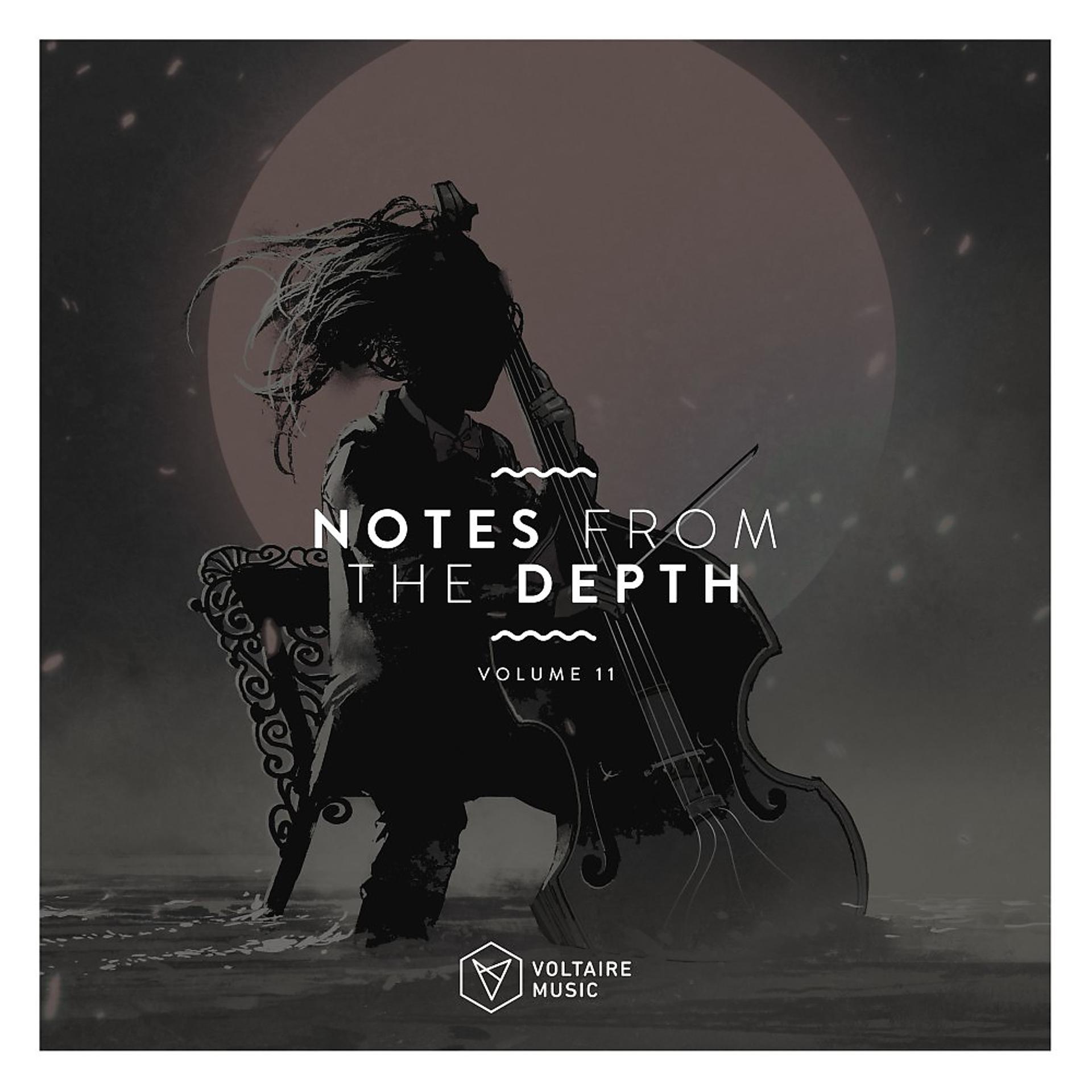 Постер альбома Notes from the Depth, Vol. 11