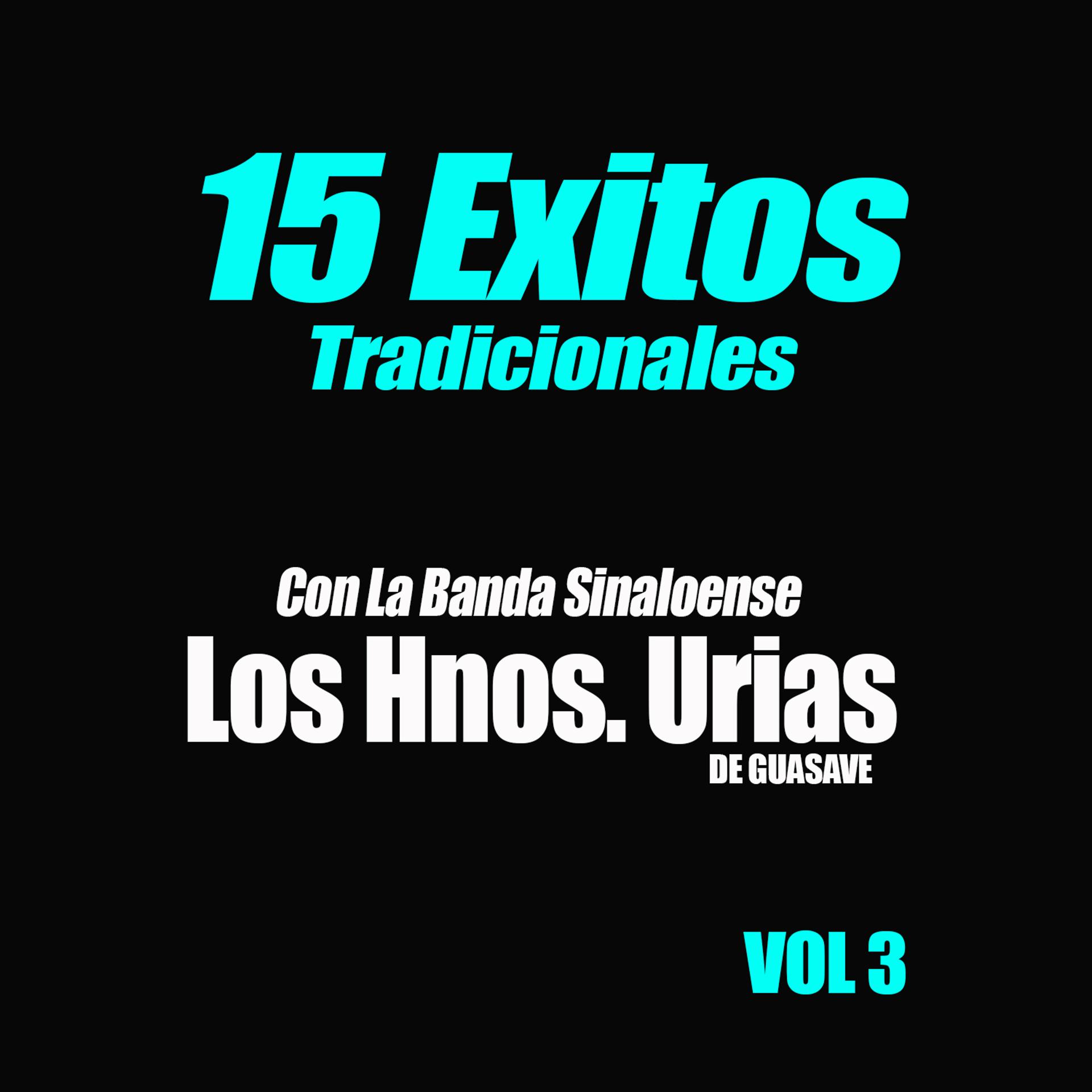 Постер альбома 15 Exitos Tradicionales, Vol. 3
