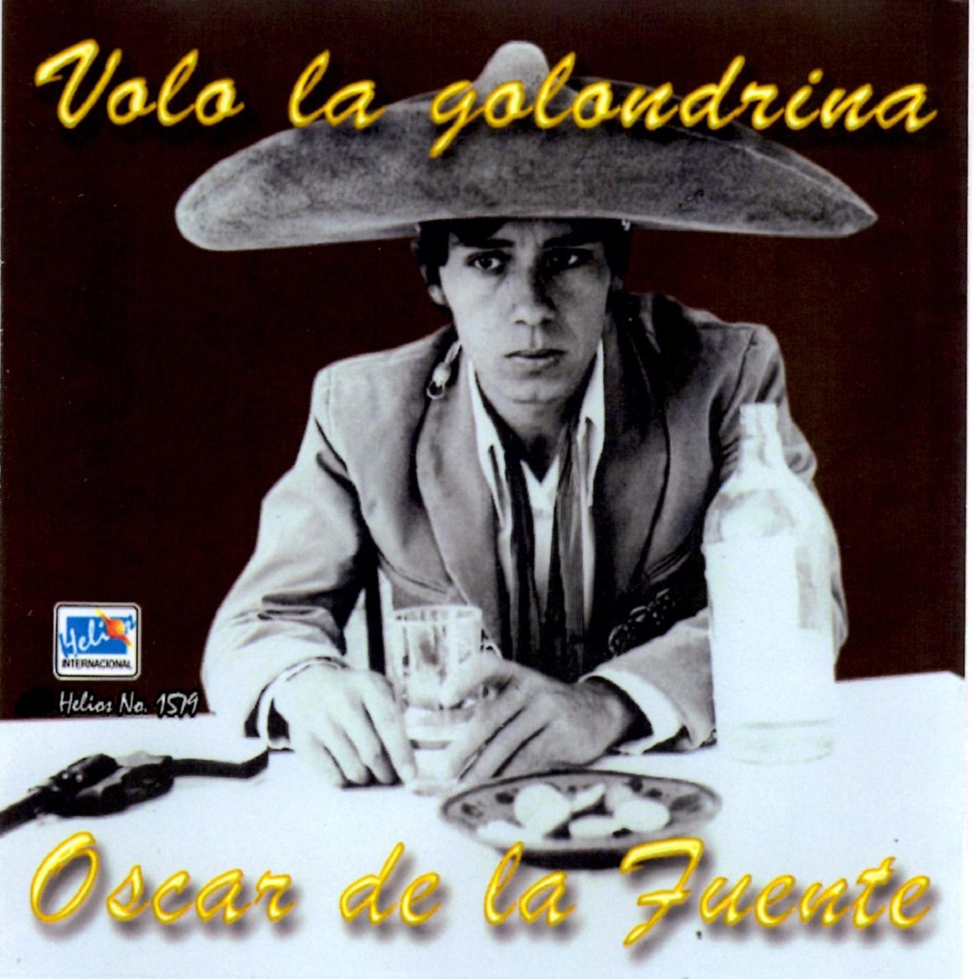 Постер альбома Volo la Golondrina