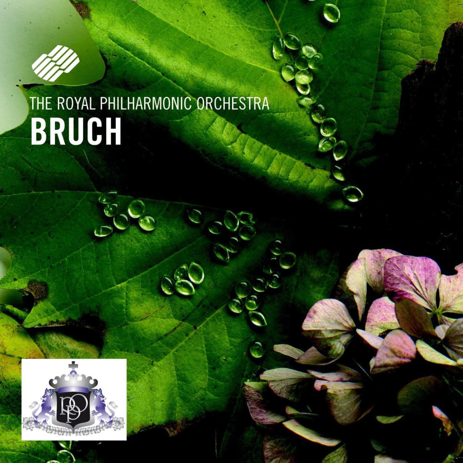 Постер альбома Max Bruch